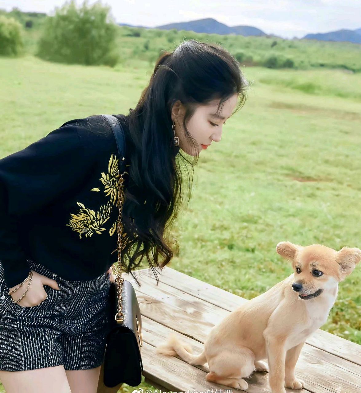 刘亦菲金色印花卫衣搭配条纹短裤,置身狂野沐浴清风中,一举一动皆动人