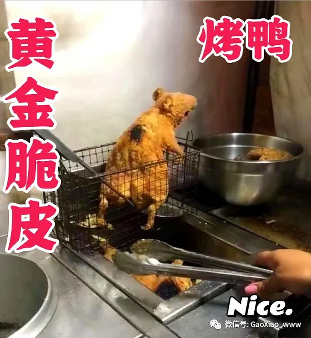 大家看我烤的烤鸭.#搞笑# #搞笑日常