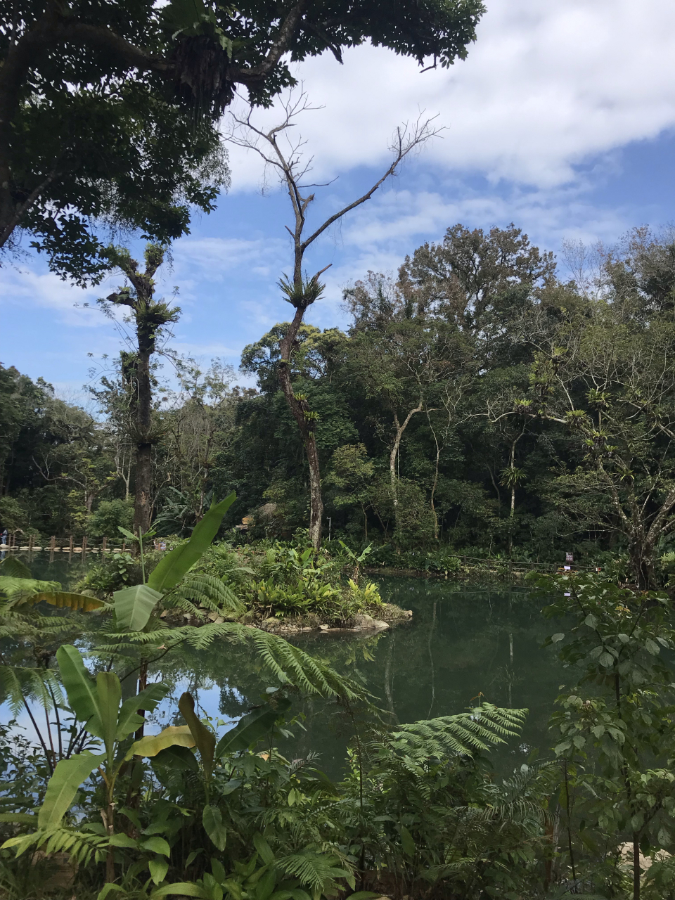 海南琼中百花岭天池