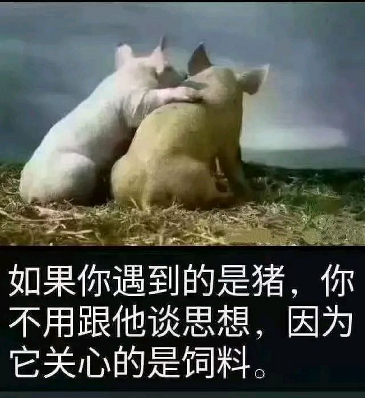 1,心细胆大脸皮厚的正确理解:坦诚直率,有着合乎时宜的霸道劲儿.