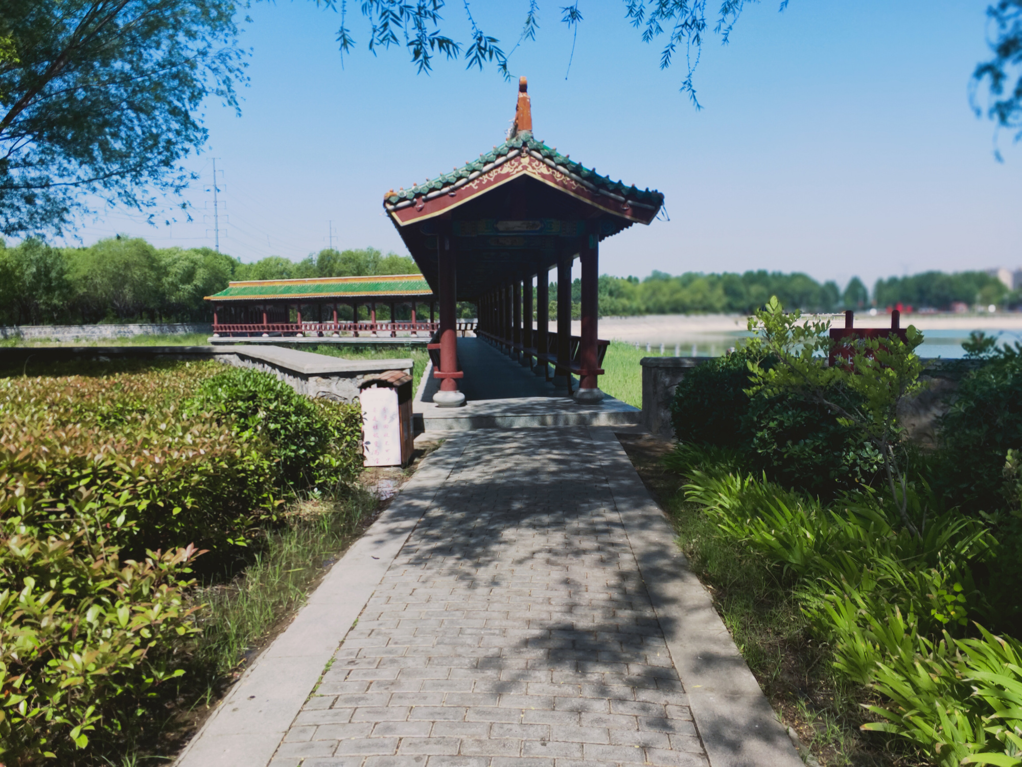 长垣三善园,高温下的一抹清凉