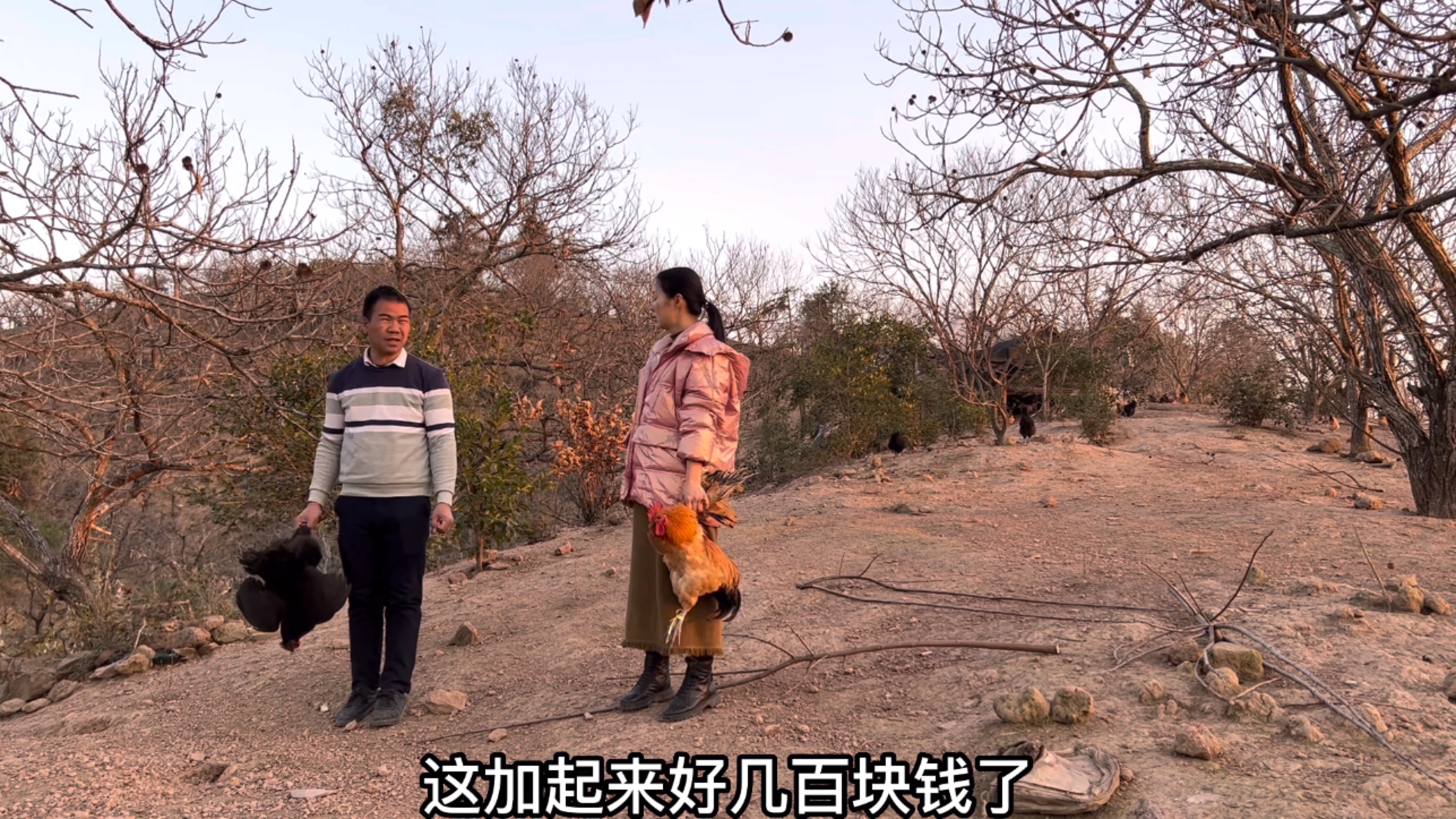 阿金哥同学聚会舍不得拿鸡送礼,小翠想改掉他抠门习惯,会改变吗