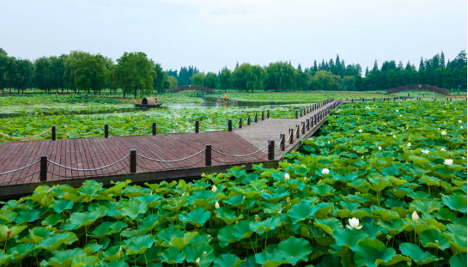 高淳水漫城图片