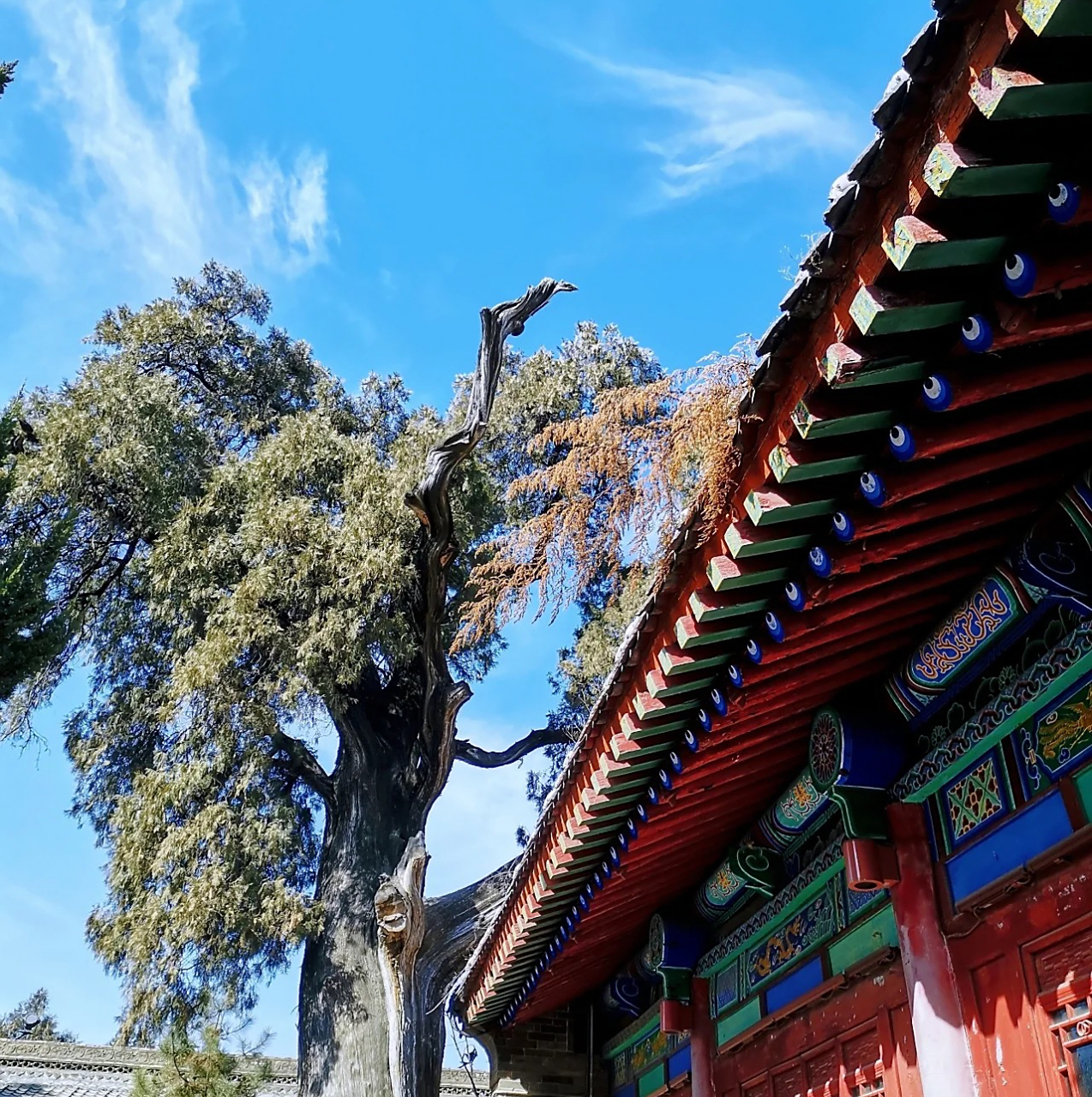 铜川耀州区的药王山很值得一去,山上有观光缆车,不想爬山的亲可以乘坐