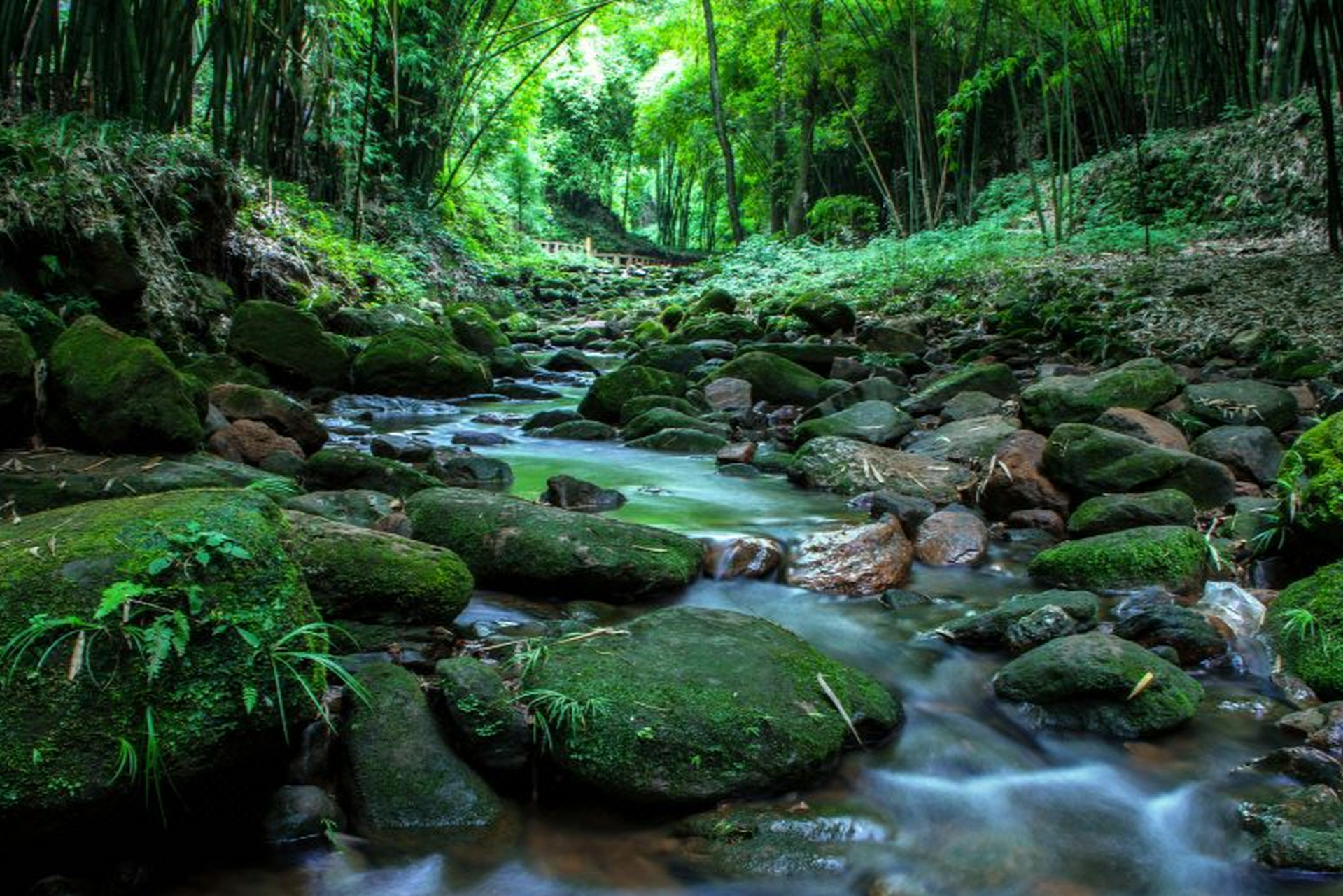 成都市区最近的竹海宝藏