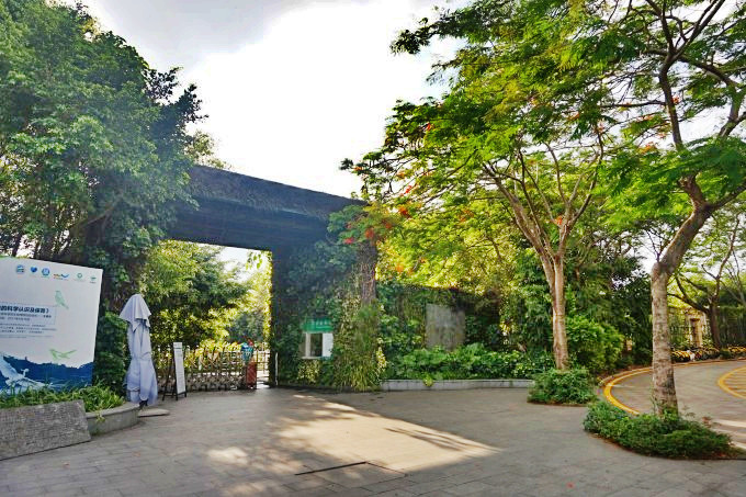 深圳華僑城溼地公園