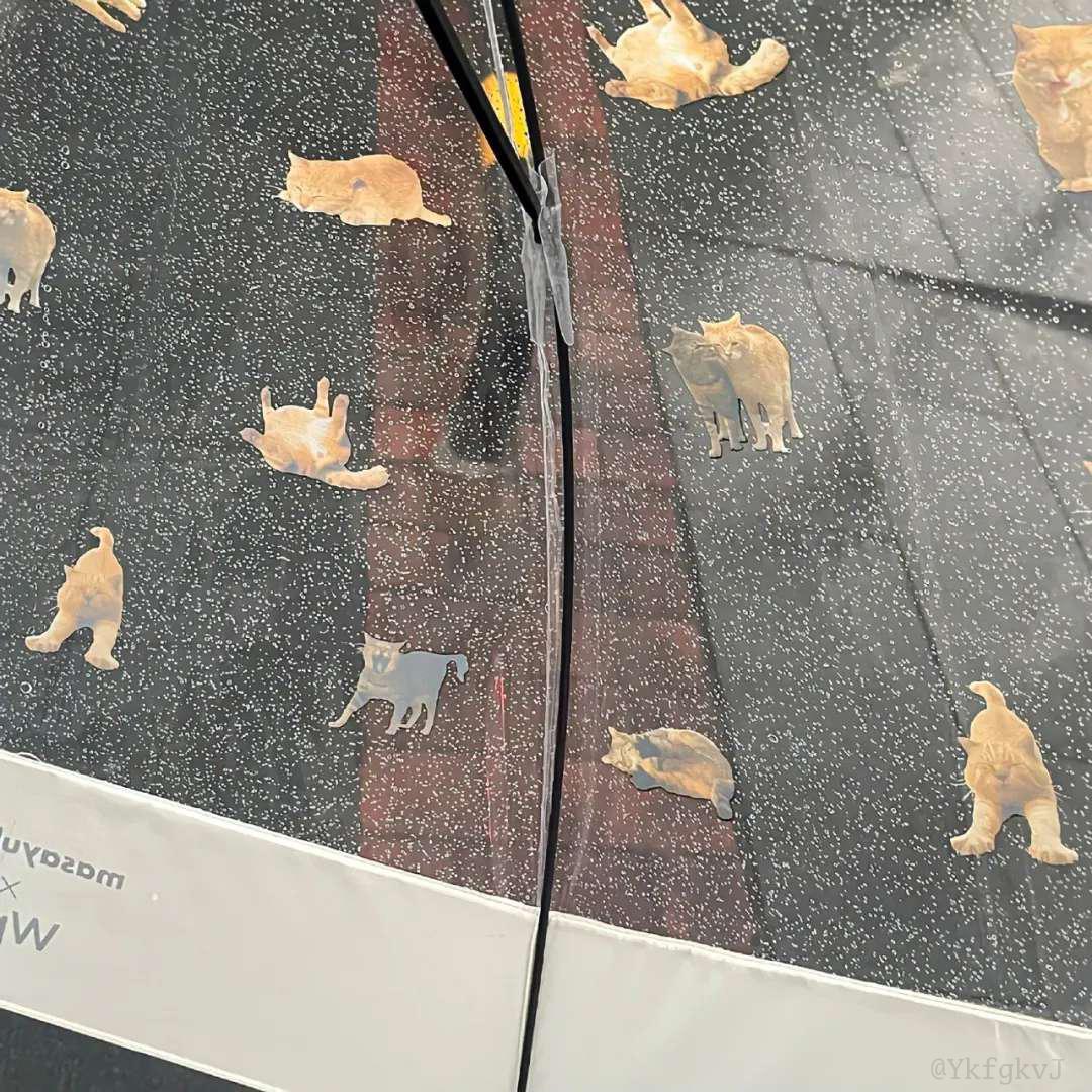 推特保存图片怎么没有水印