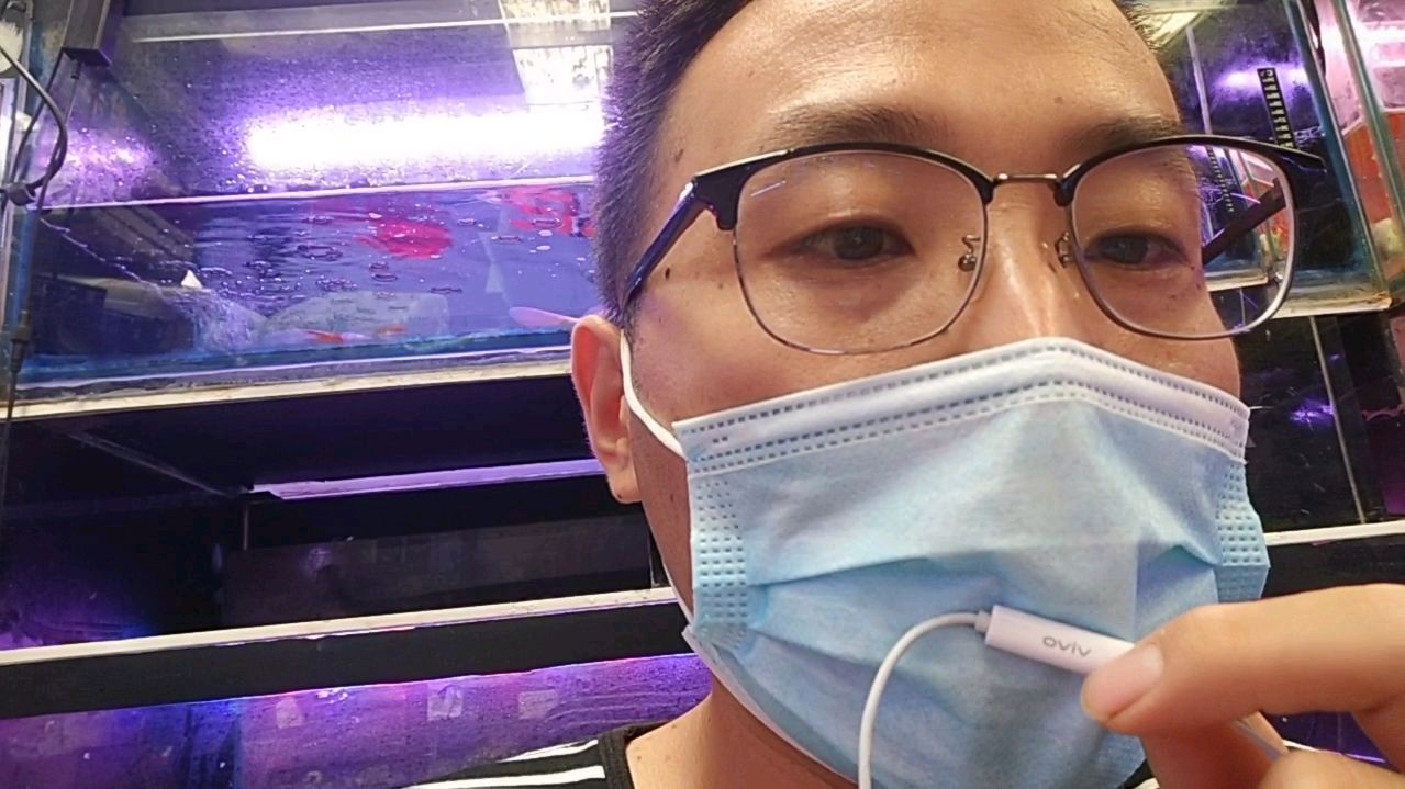 观赏鱼白点怎么发现?进来听听吧!这个季节很尴尬