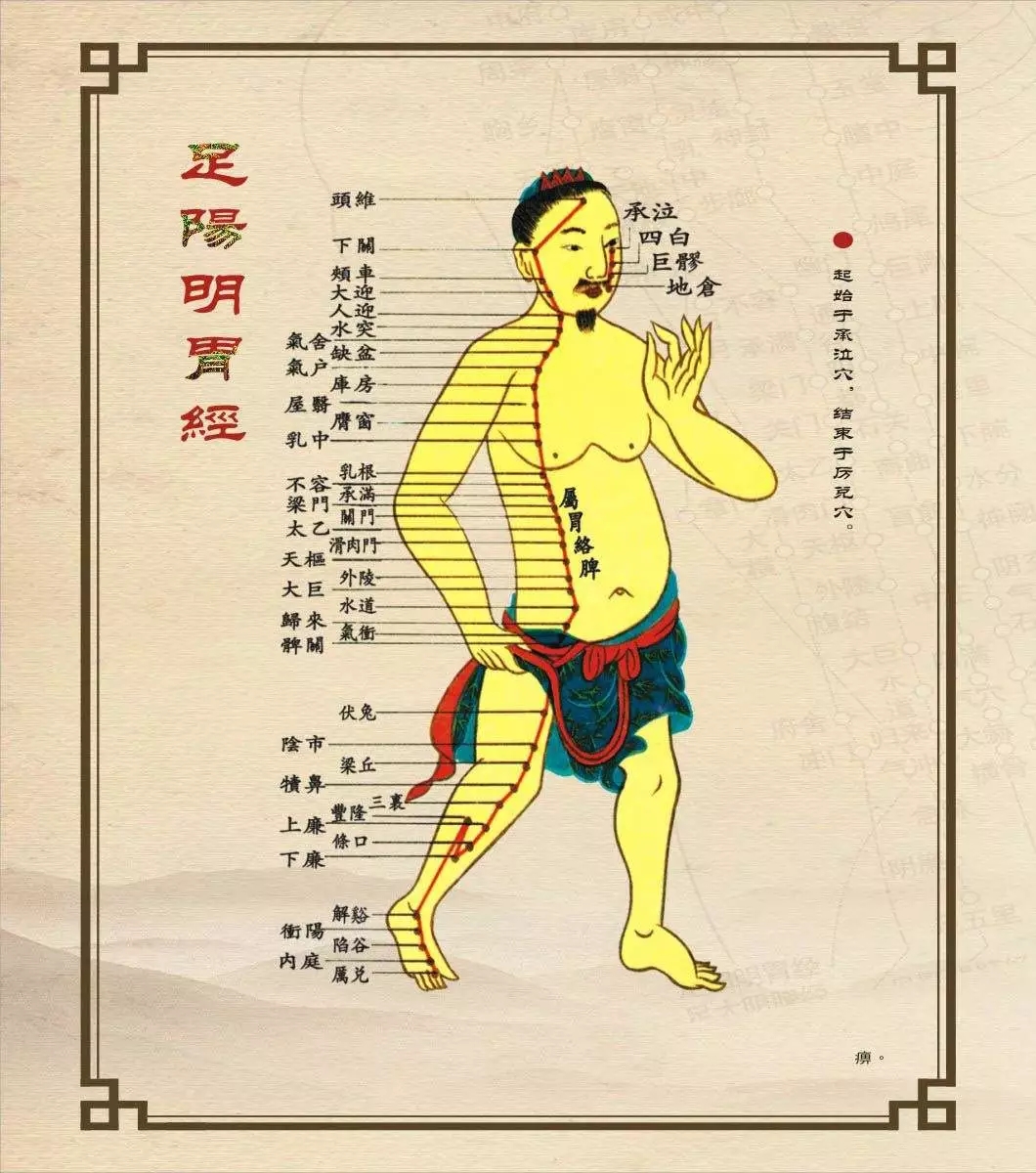 黄帝内经通义解读阳明脉解