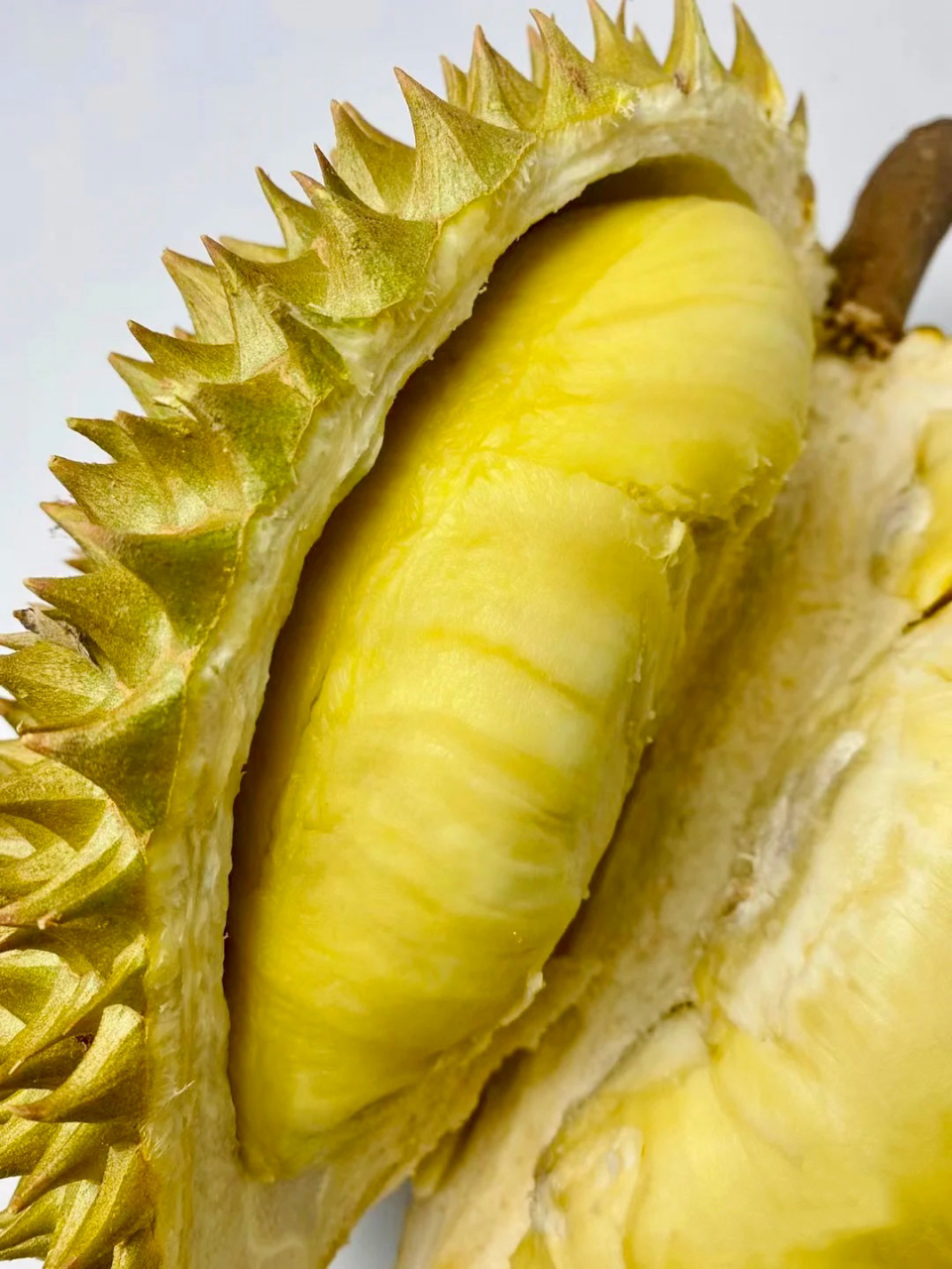 国产榴莲上市,可实现"树上熟",对于爱吃榴莲的网友们,是个好消息哦.