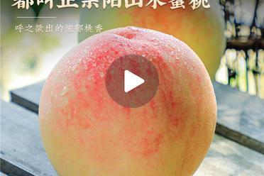 “苏超”带火抖音电商江苏好物 无锡水蜜桃成交额环比增长超160%