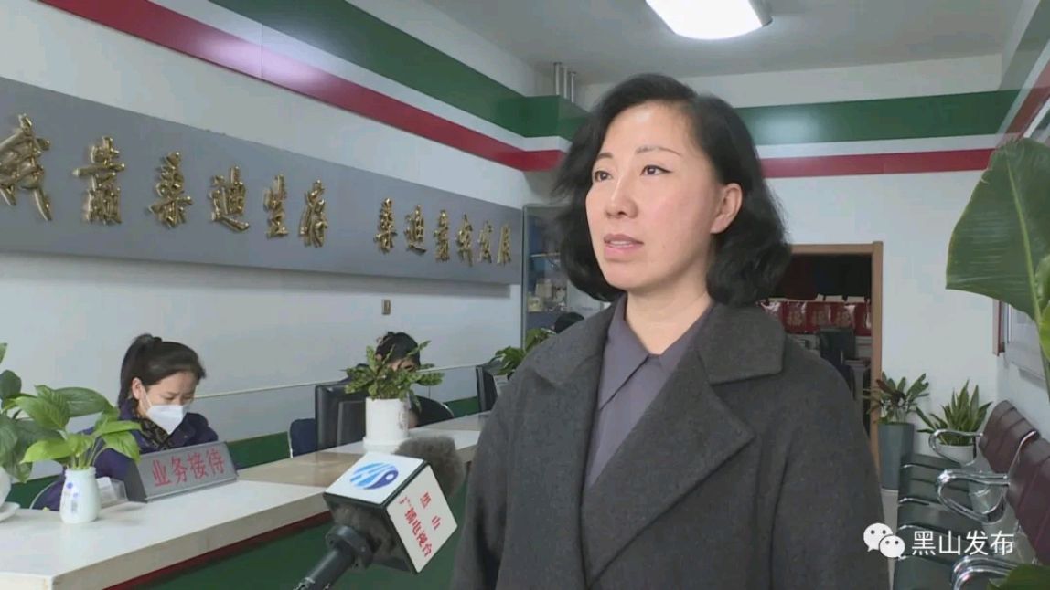 「代表委员风采」人大代表林淼探索企业发展之路 行使代表应尽职责