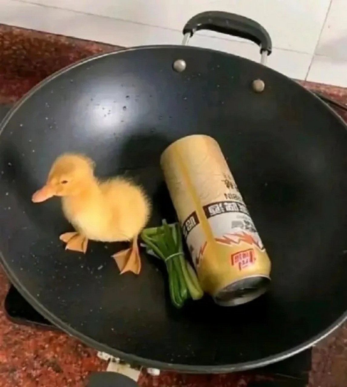整了一道硬菜[二哈]#搞笑