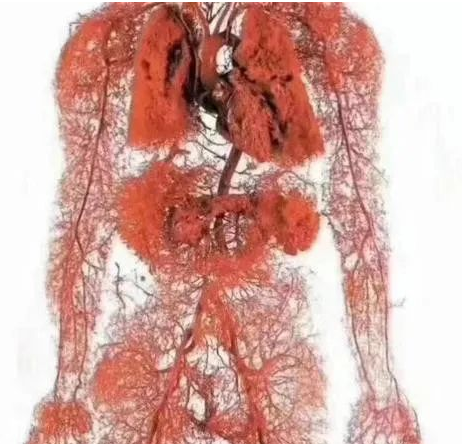 远红外改善微循环,对人体大有好处