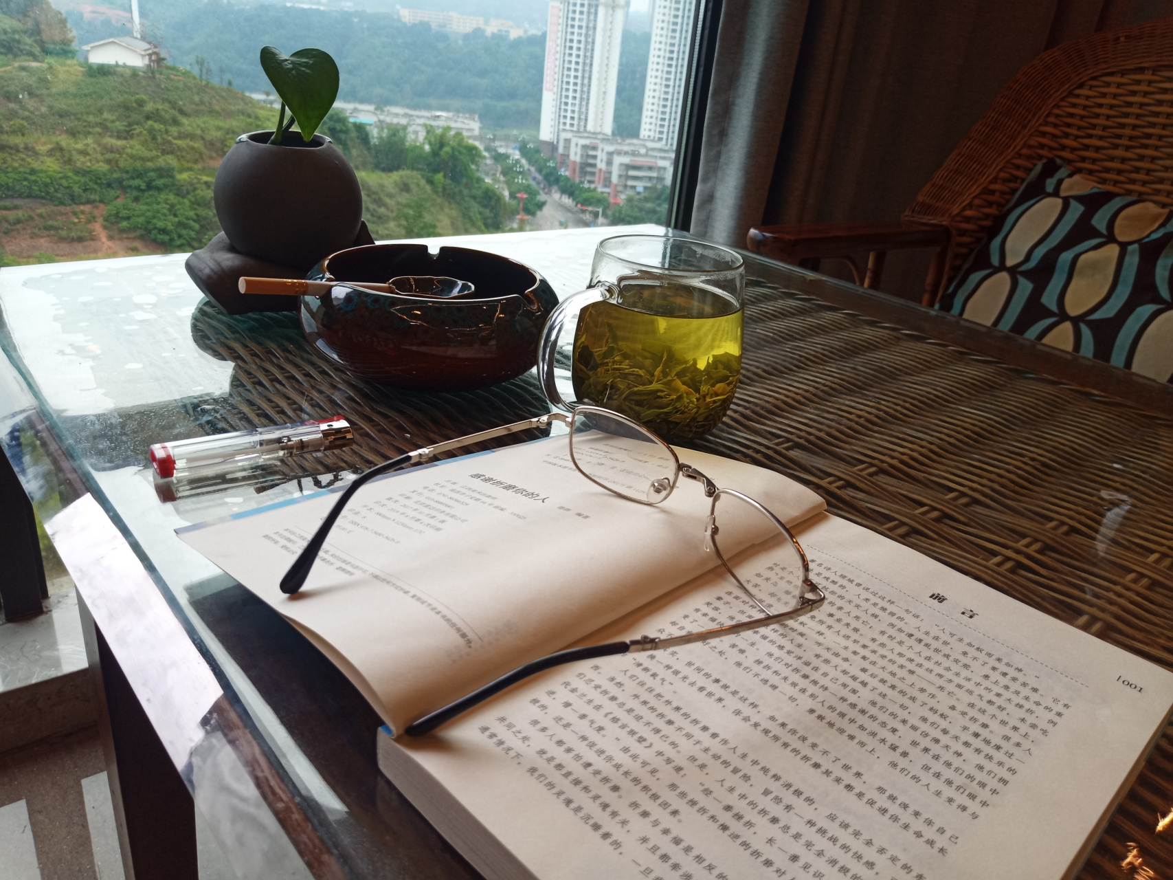 一人一茶,一书,一支烟,一绿植,窗外一世界!