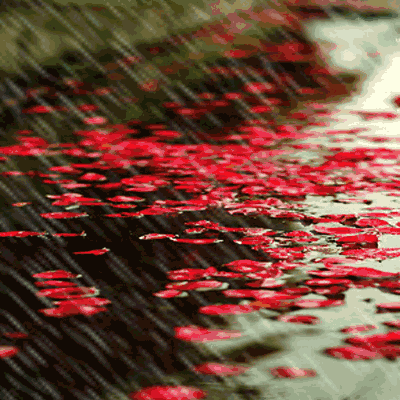 河南暴雨有感:珍惜当下,你永远不知明天和意外哪个先来