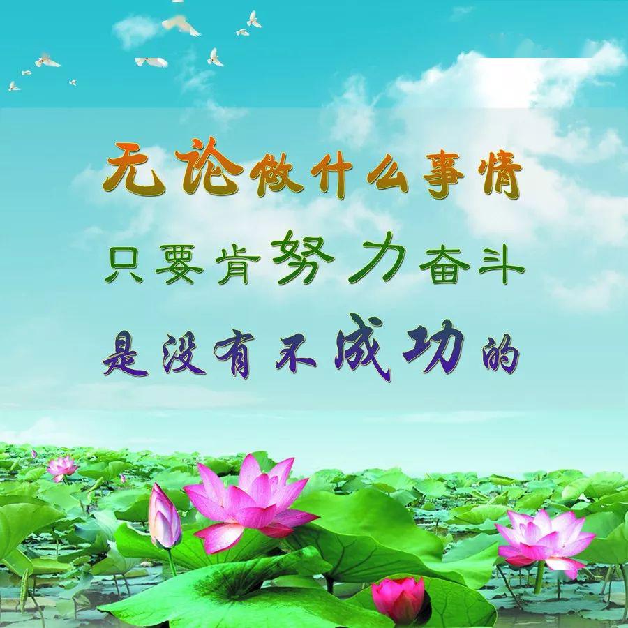 励志的话正能量句子:珍惜眼前拥有的一切,不放弃自己的追求