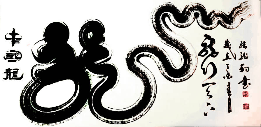 非物质文化遗产传承人一一张龙翔