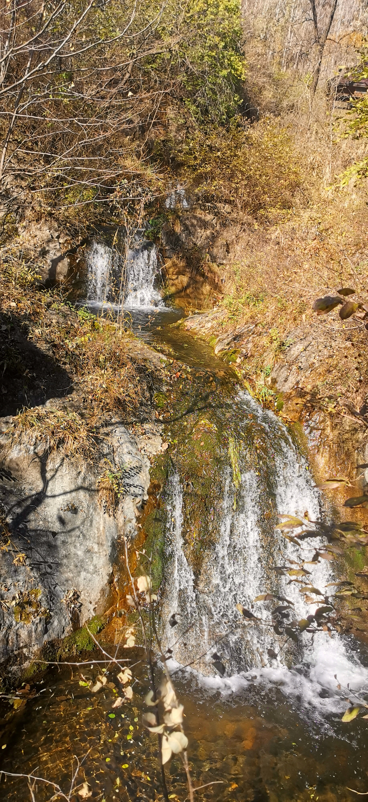 保定一亩泉复涌 何时梦想能成真?(一)