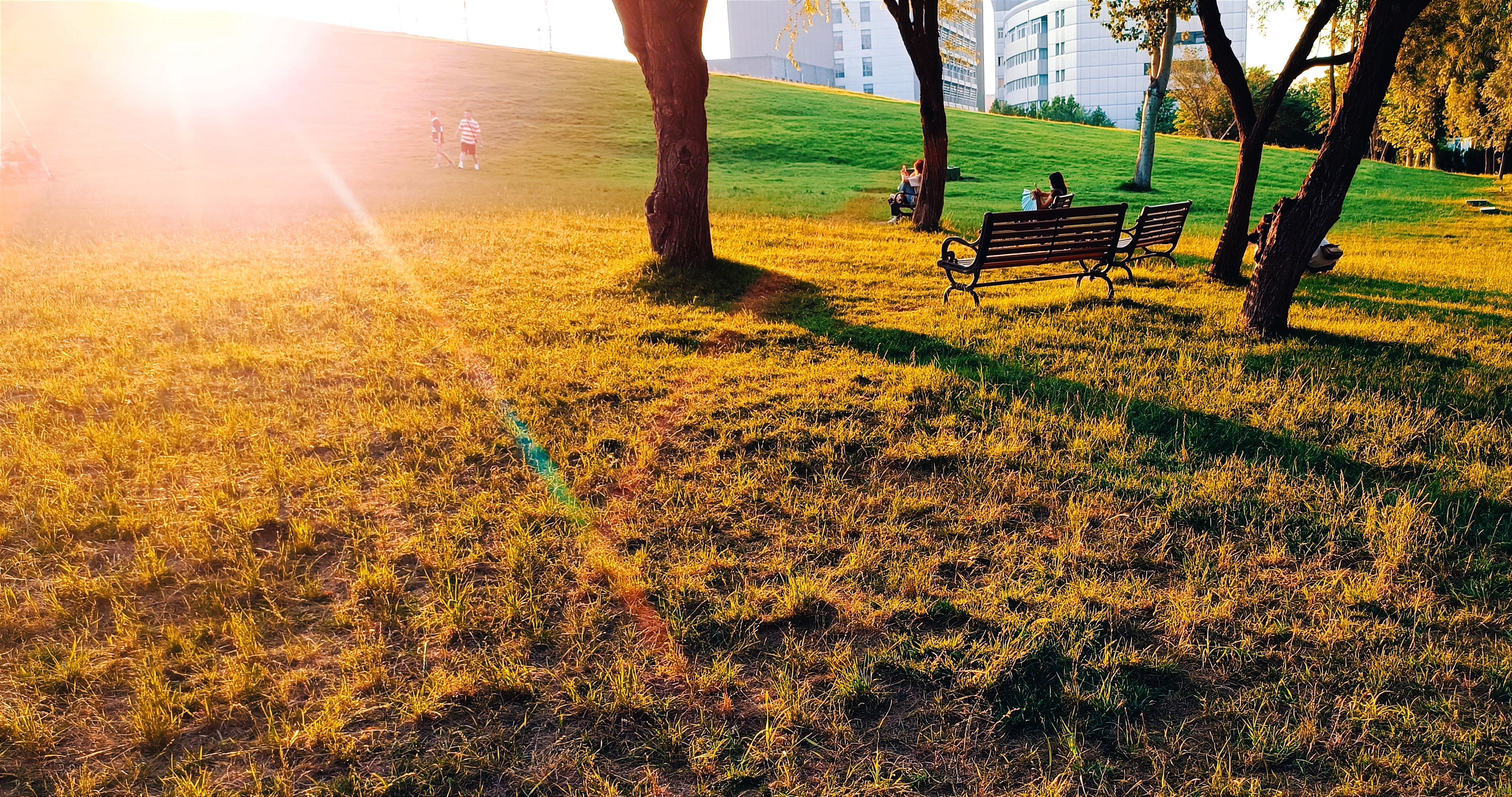济南,高新区大草原,夏日傍晚的绝美景色