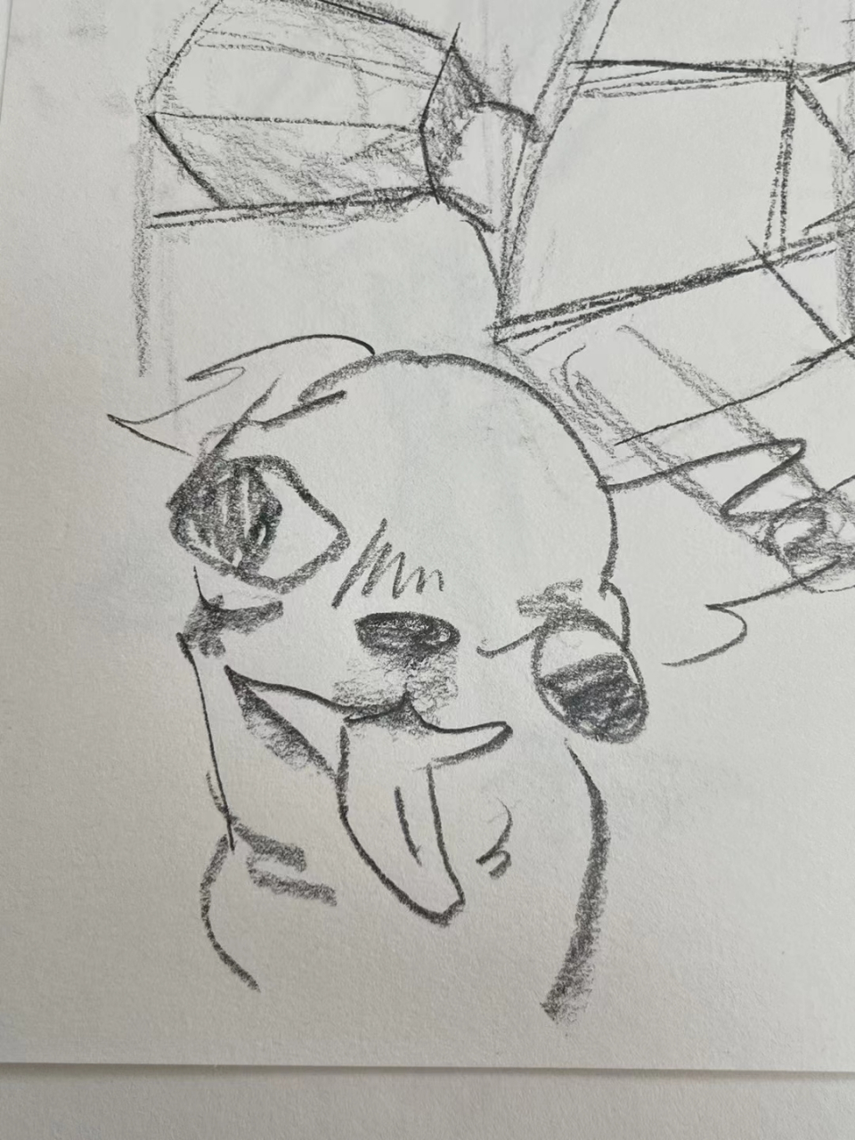 这舌头,太搞笑啦吧!