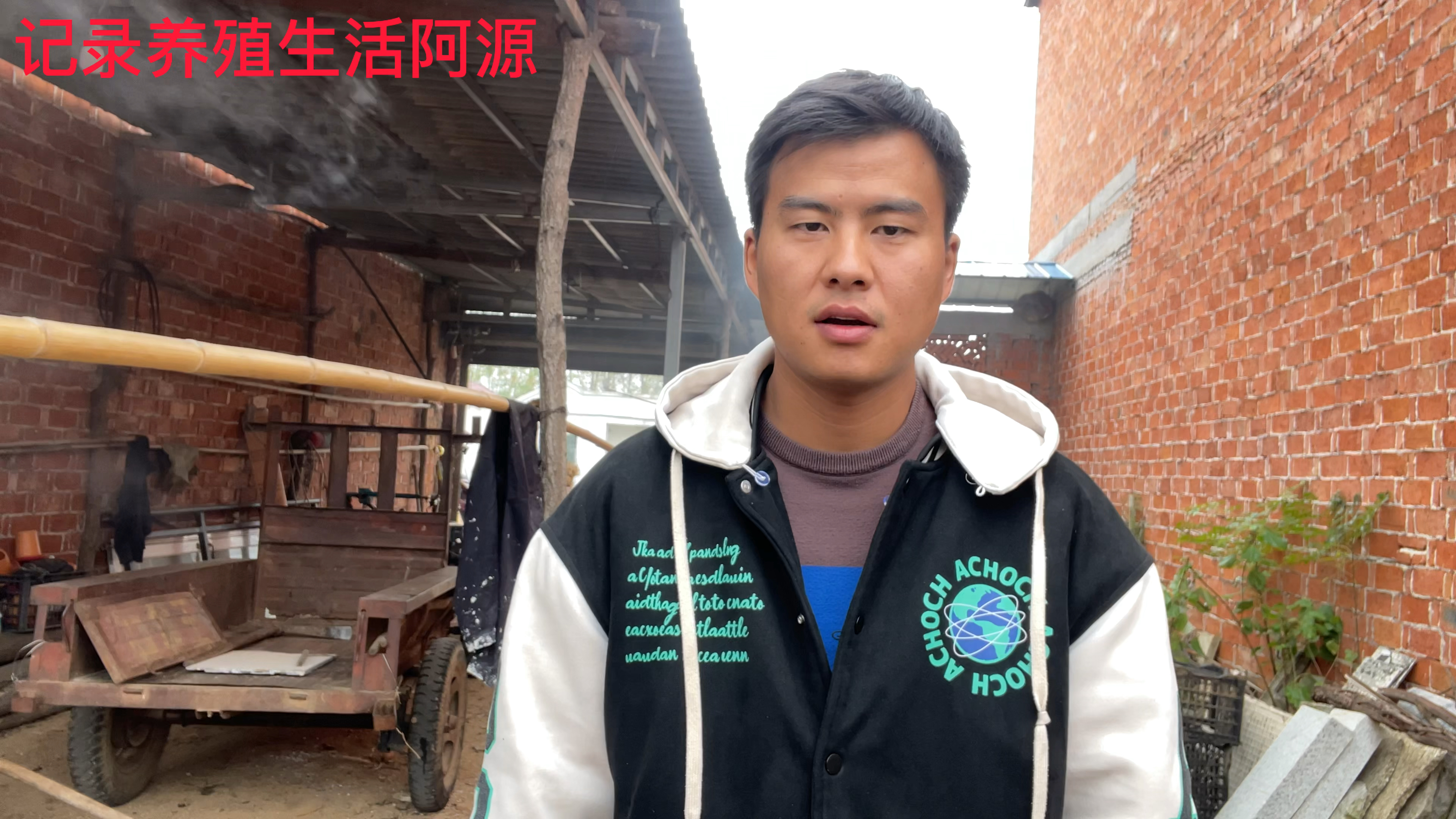 5只老母鸡1只老公鸡.看看有多重,6只土鸡一共多少钱