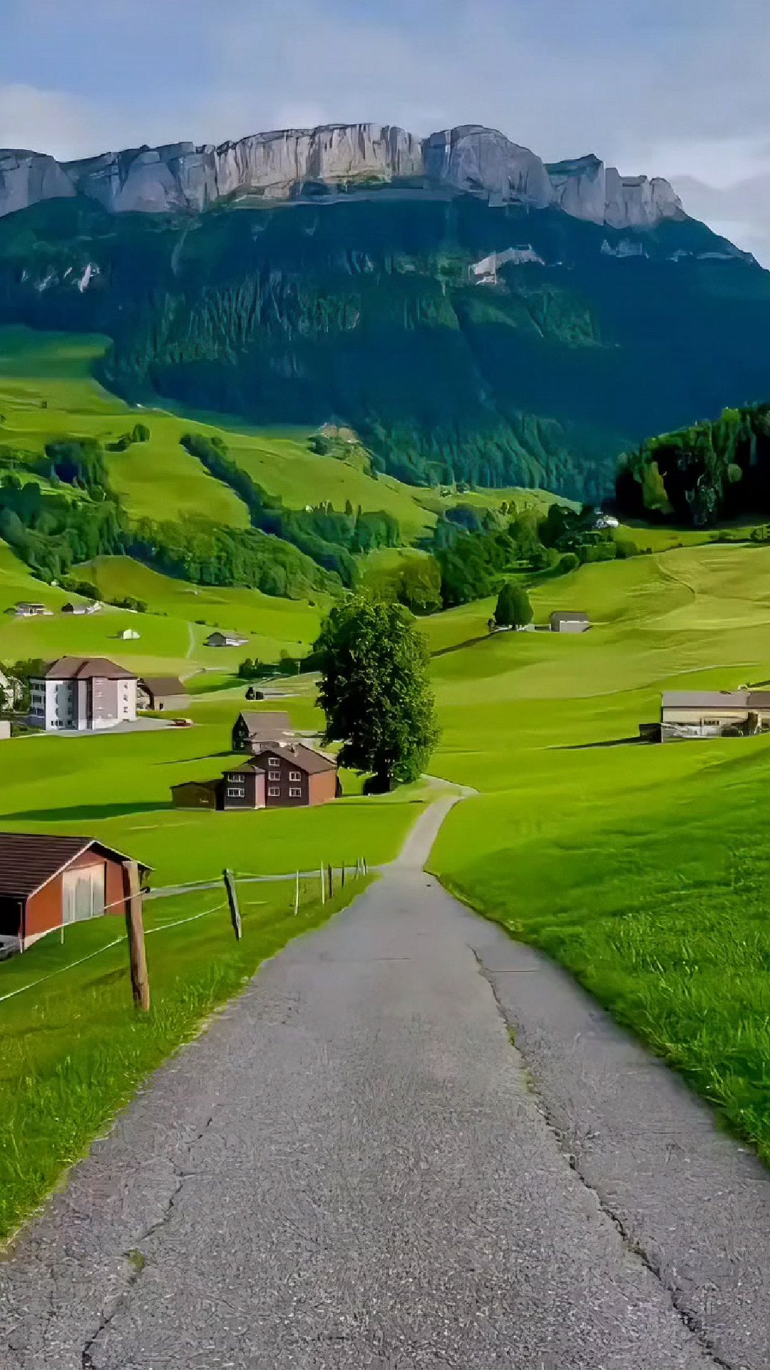 瑞士的郊外小镇上