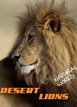 自然世界：沙漠狮彩
