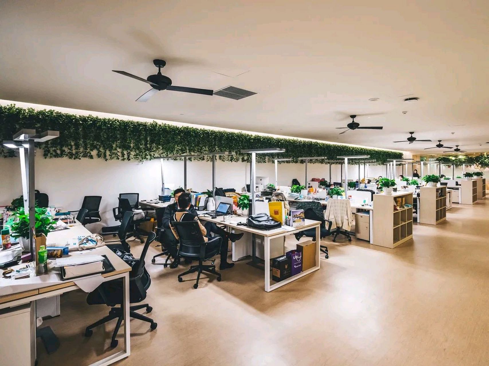 七个月没发工资了,办公室里每天都是一片沉寂,同事都一个一个的离职了