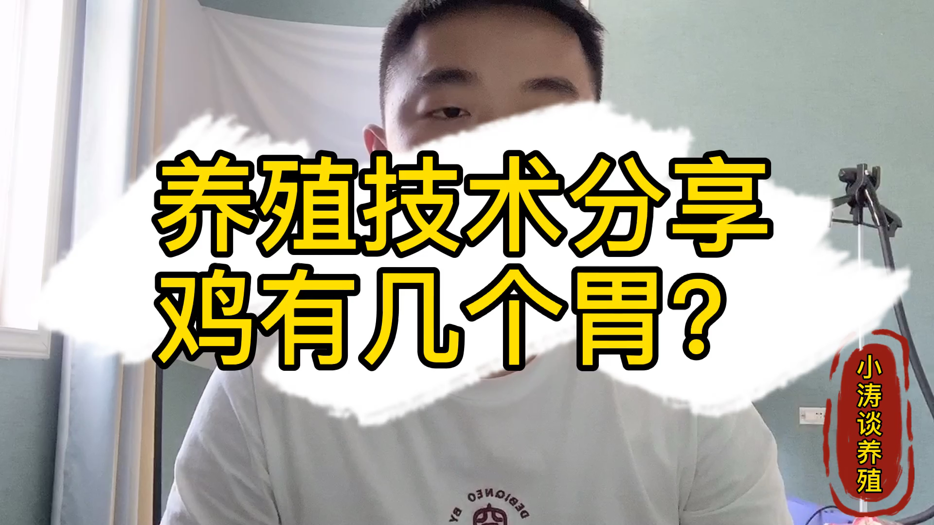 新手养鸡,先弄明白鸡群过料的原因,才能更好地把鸡养好
