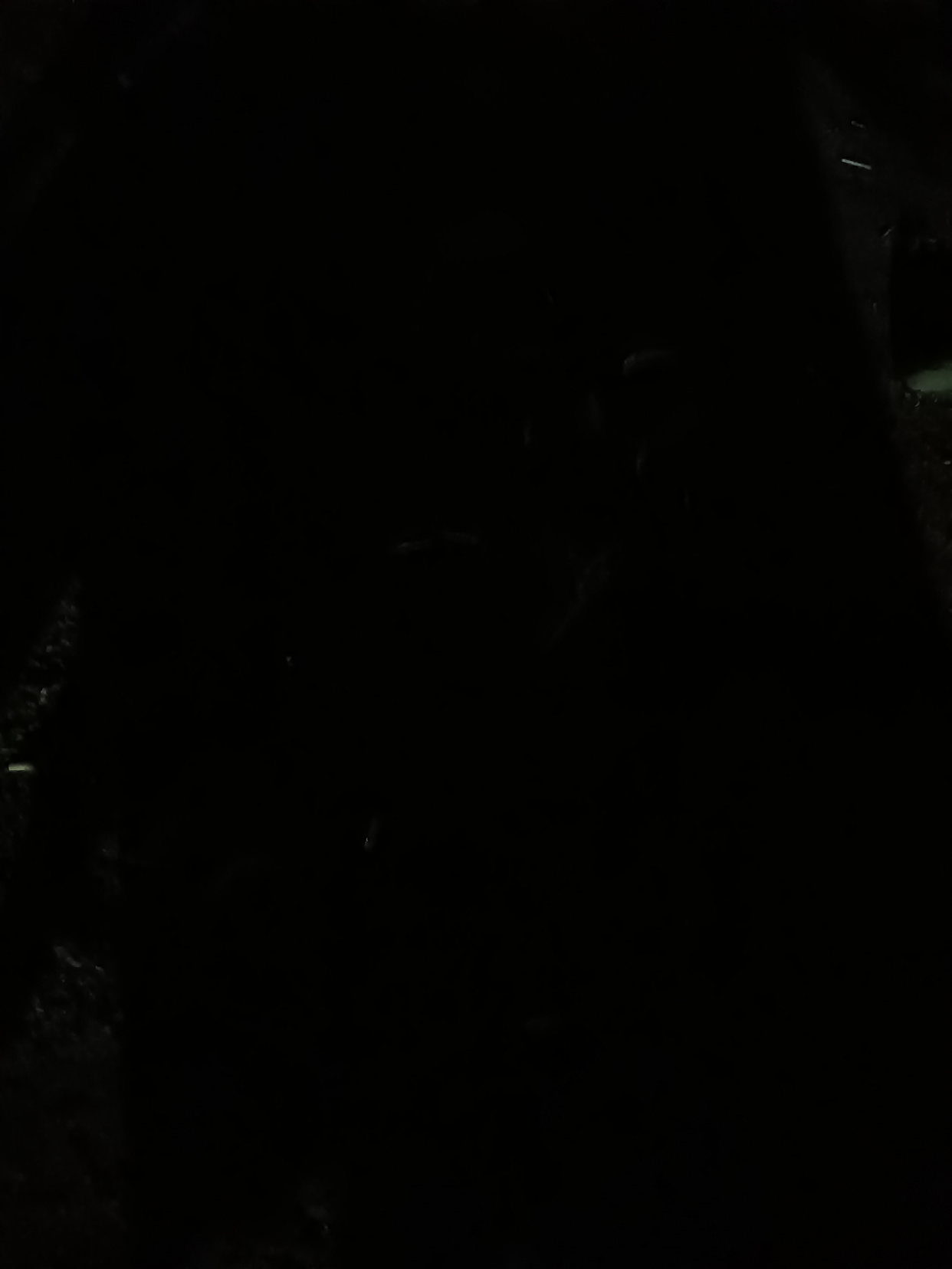 新橙优品～人工服务～客服电话?