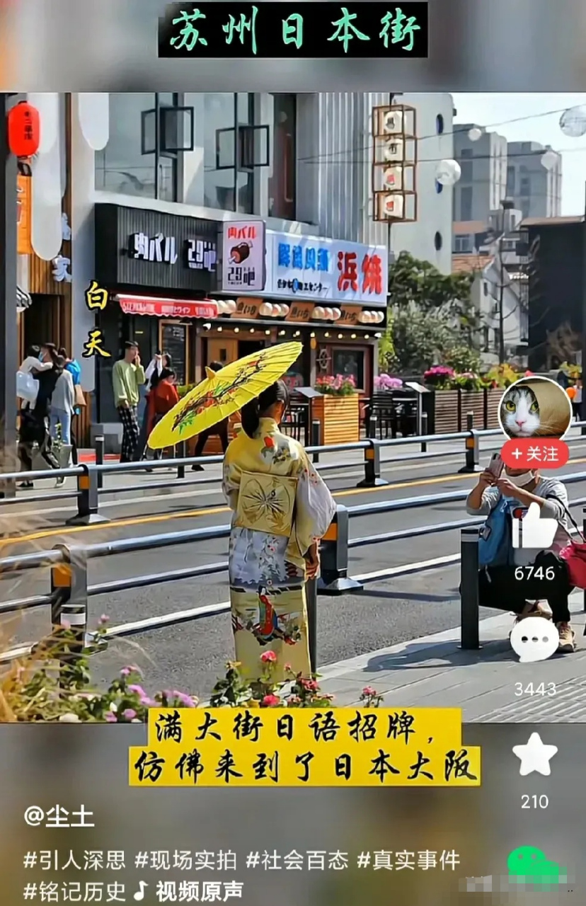 满街穿和服的女人在溜达;晚上,清一色的日文招牌在喧嚣;不得不服,苏州
