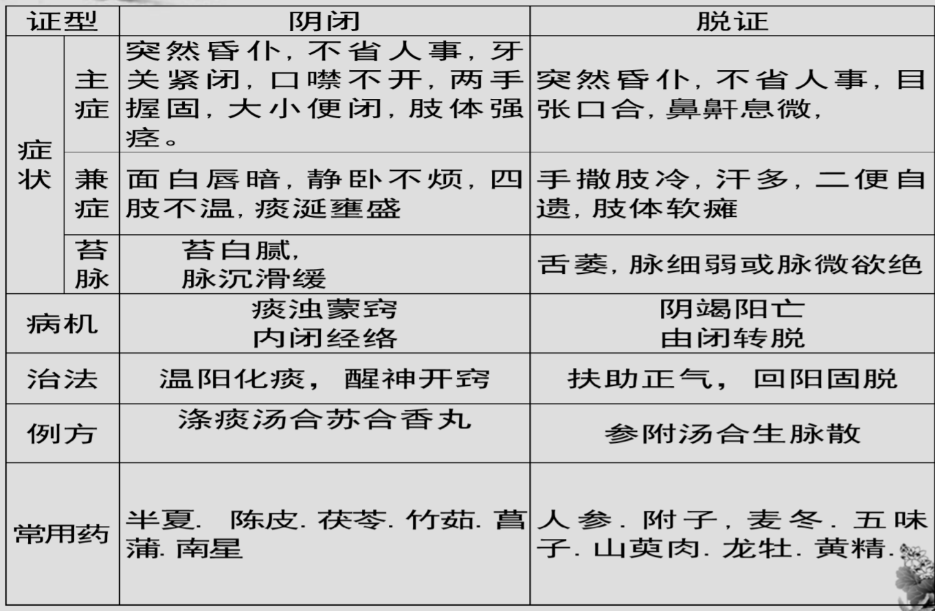 类 中风的中医辨证论治