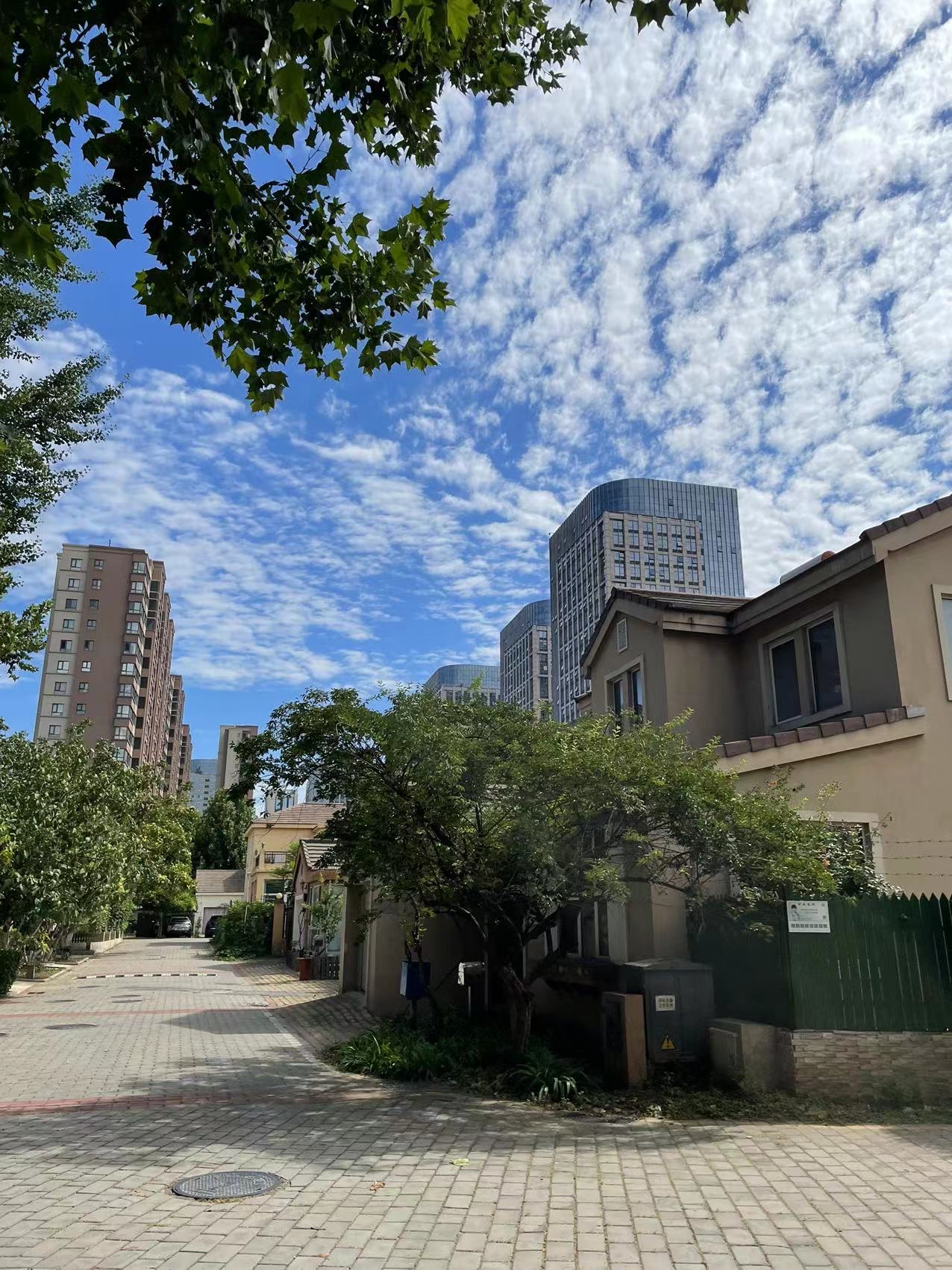 dearvilla最便宜的一套独栋不卖了