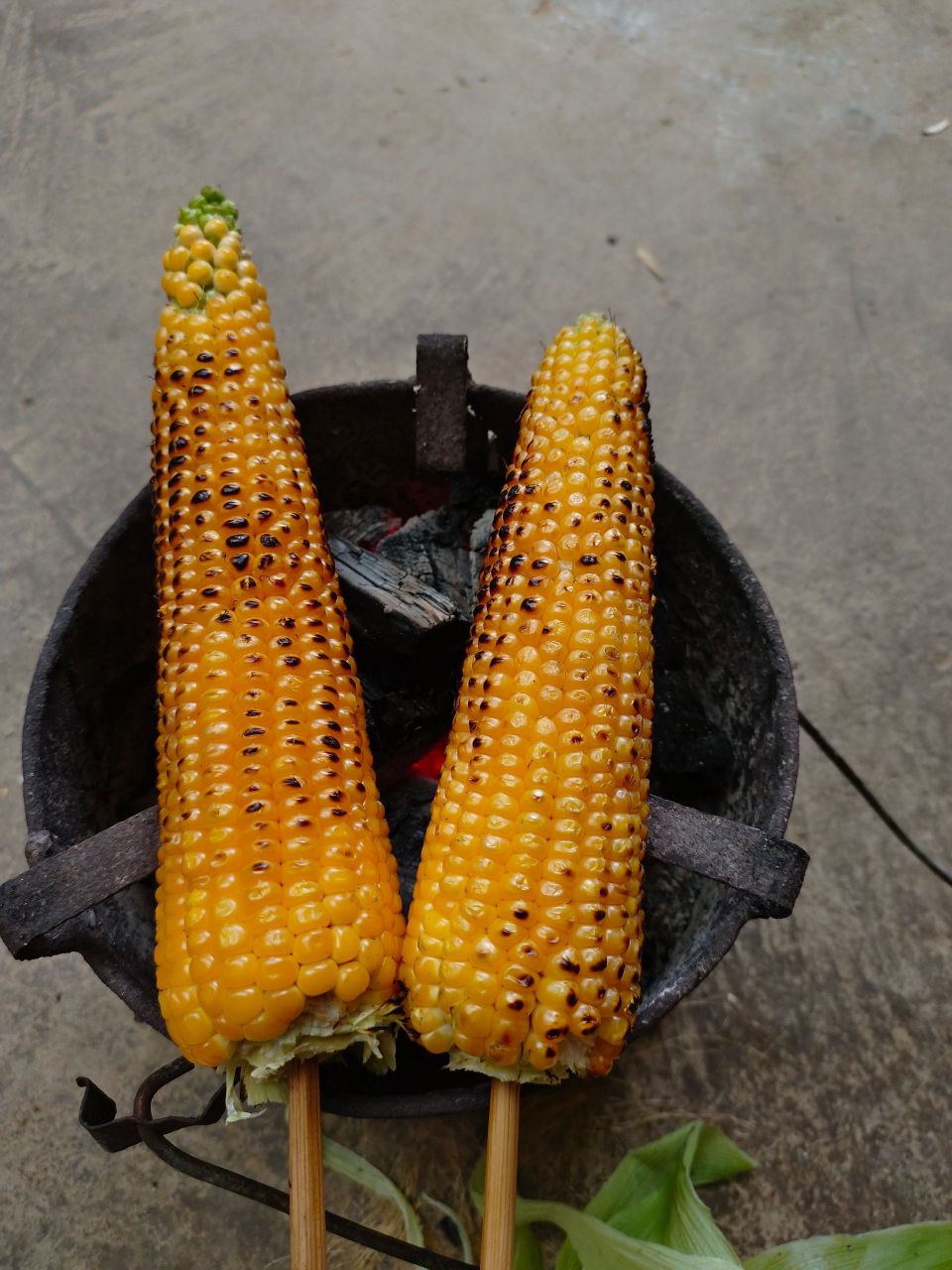 烤玉米谁不爱|||家里烤的和街上烤的 碳烤就是好吃呀 #每周创作进行时