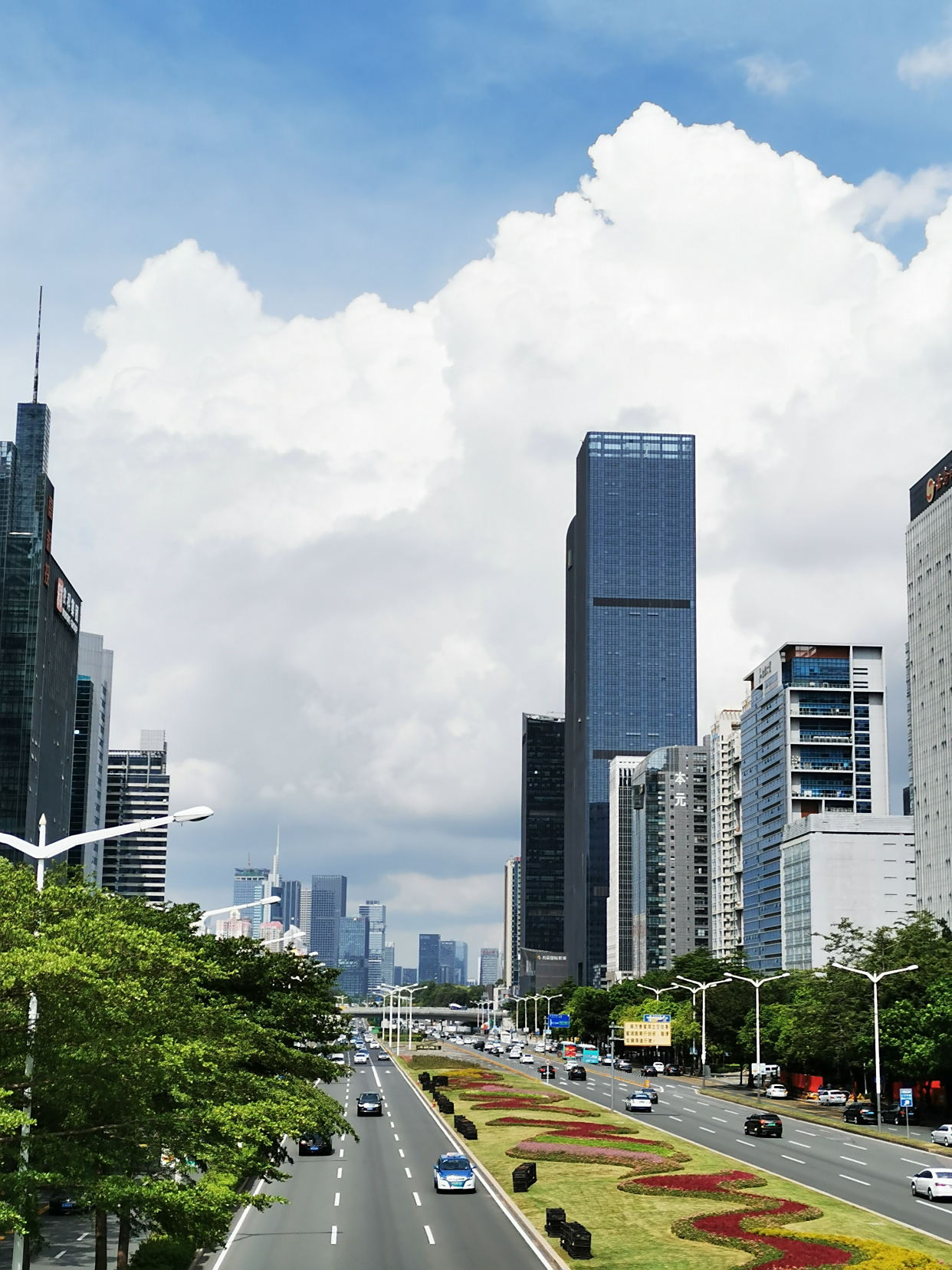 实拍深圳aaaaa级景观大道,看过的人都纷纷点赞!