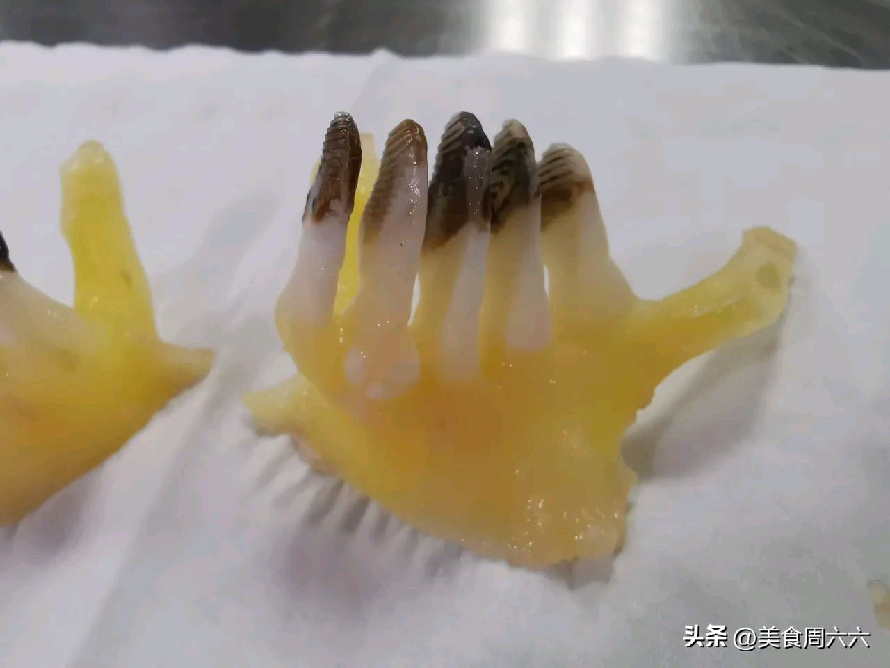 鱼牙的故事