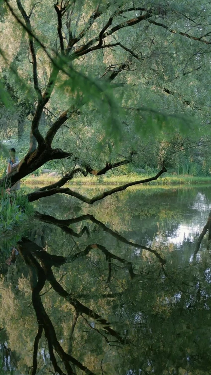 由于这	几天官府事多,暂缓交纳,乡民就暂且将银子带回,准备	还给亲戚