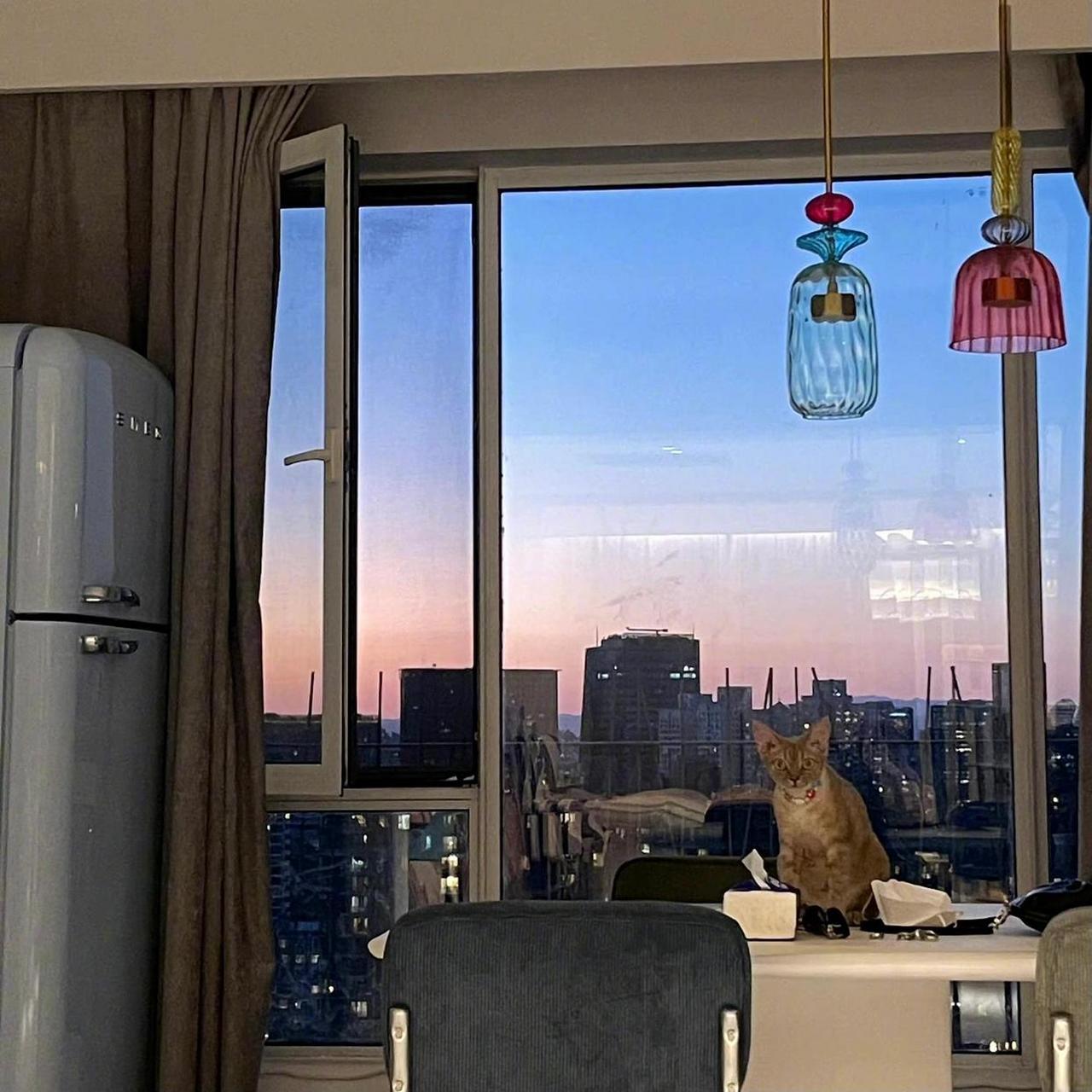 27岁宋妍霏在上海的家,全屋硬装很简单,但家具,装饰等软装都很有个性!