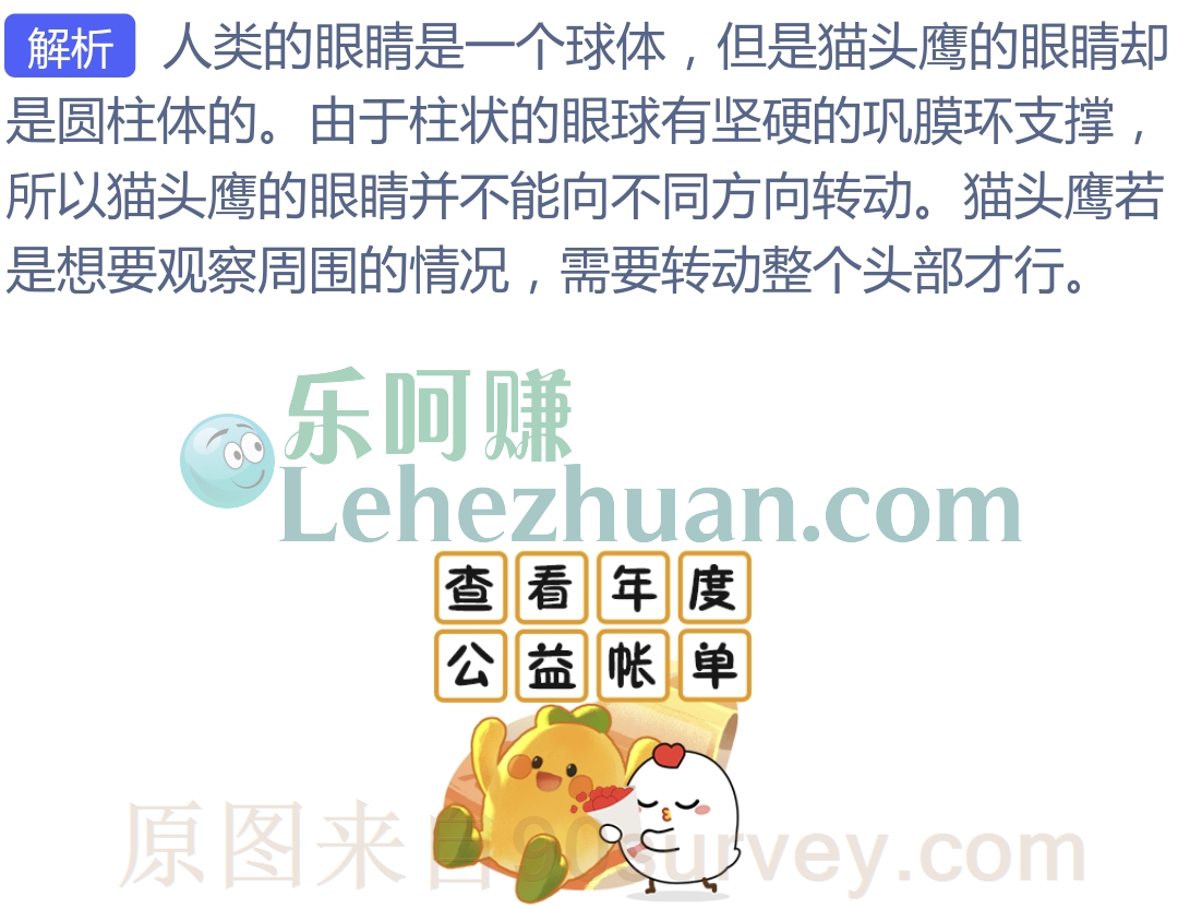 猫头鹰的眼睛是什么圆柱体的