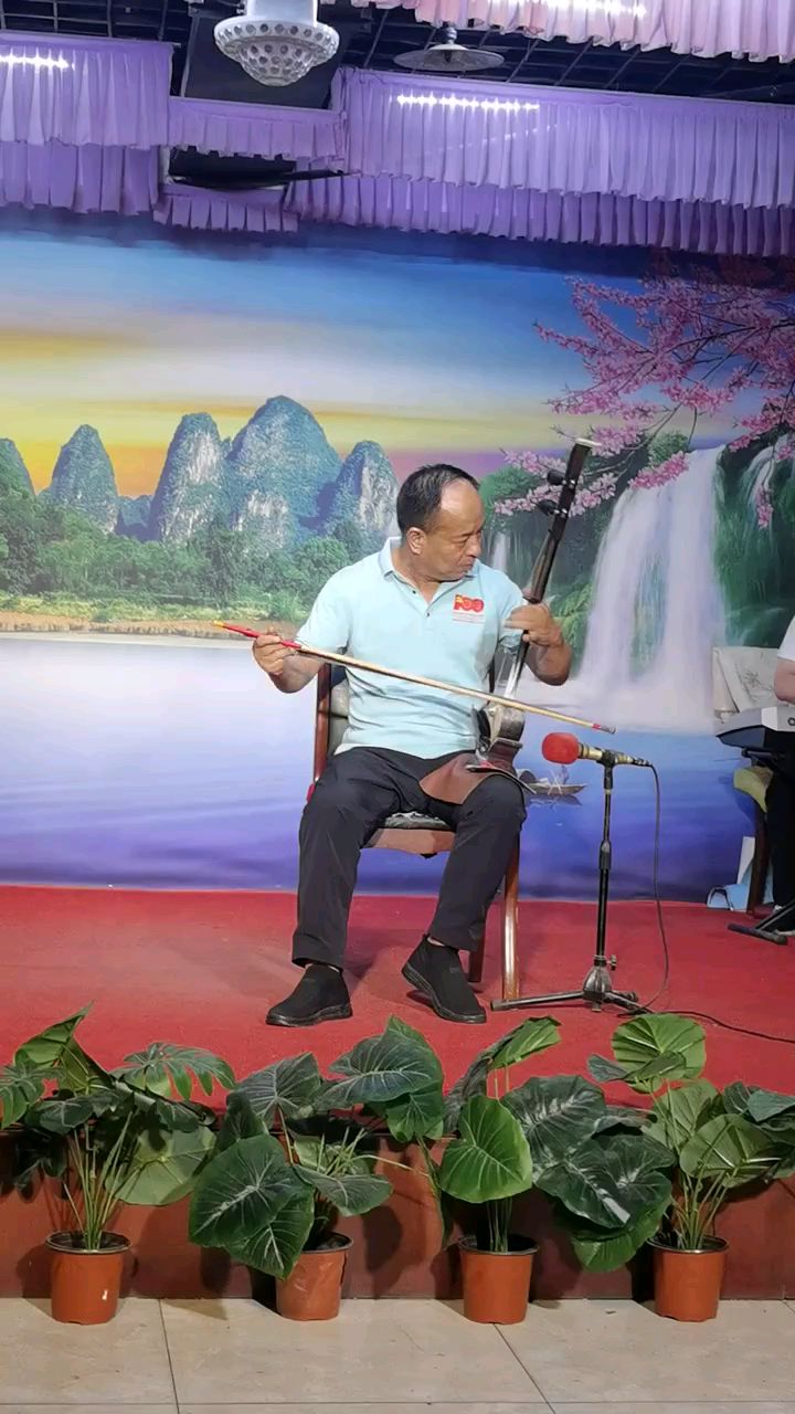 板胡演奏《向阳花》