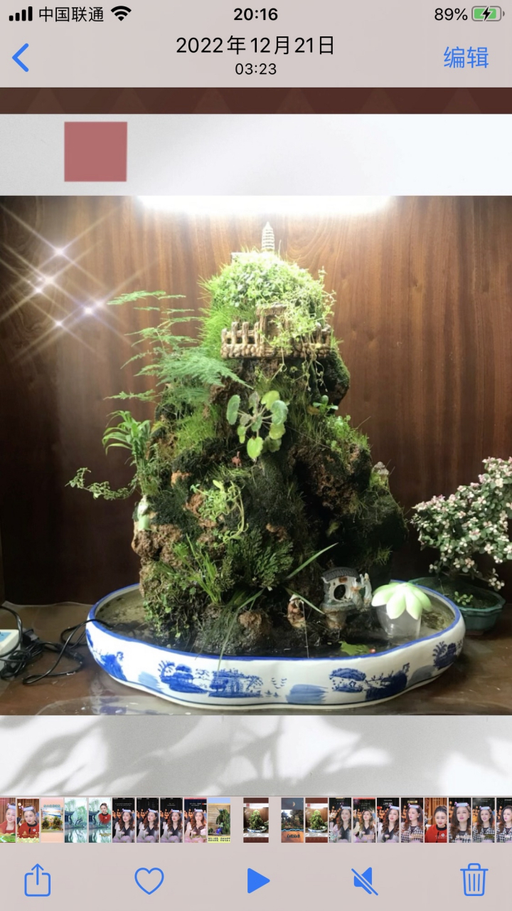 假山盆景造型