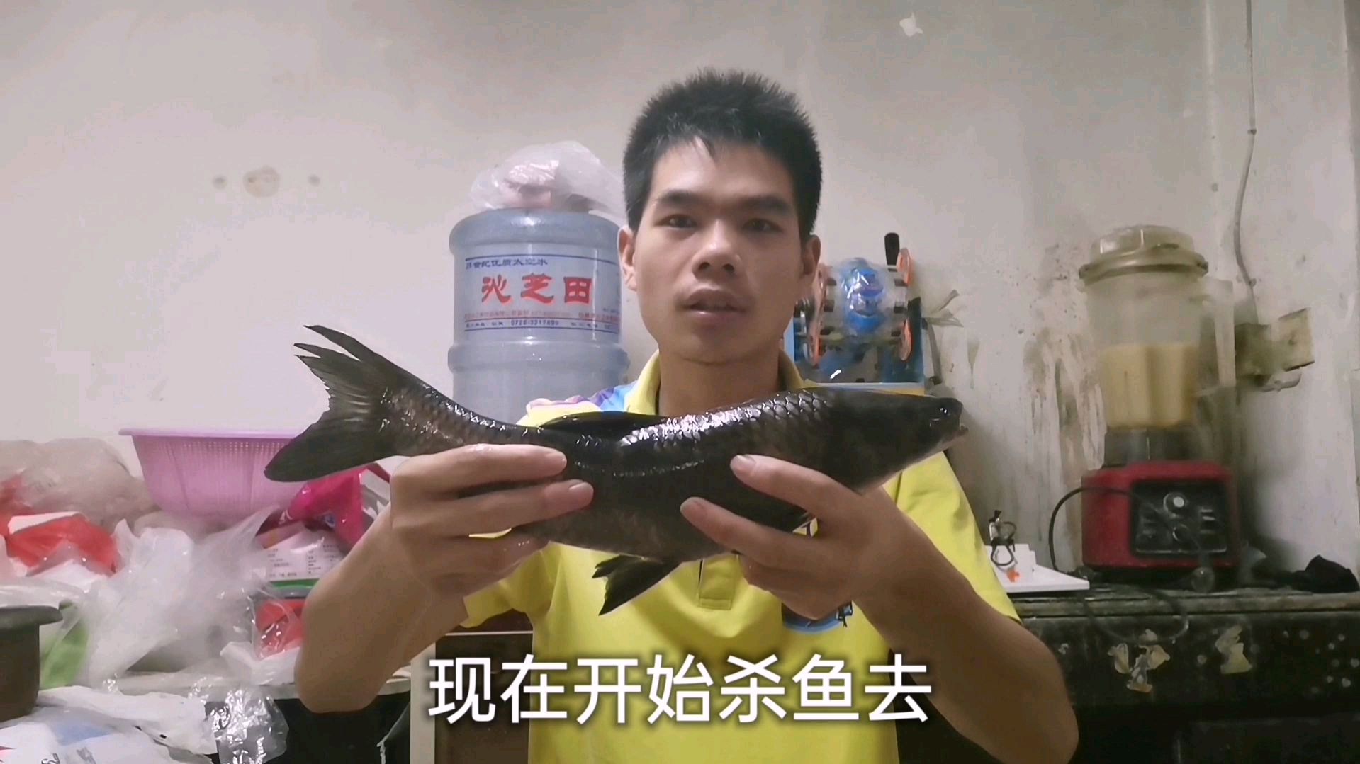 小伙今天做清蒸青鱼,鱼肉鲜香,做法简单又下饭,我家每周都会做