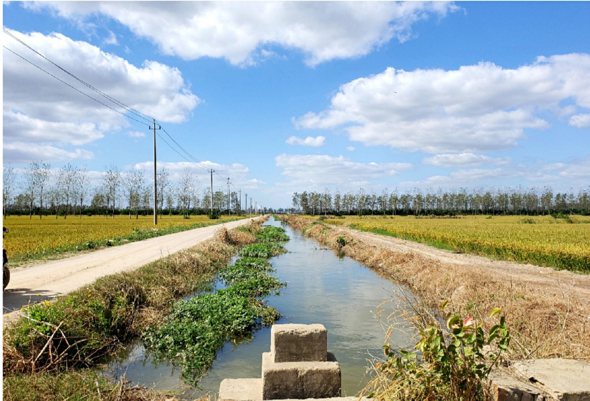 子午河·大堆-方强农场