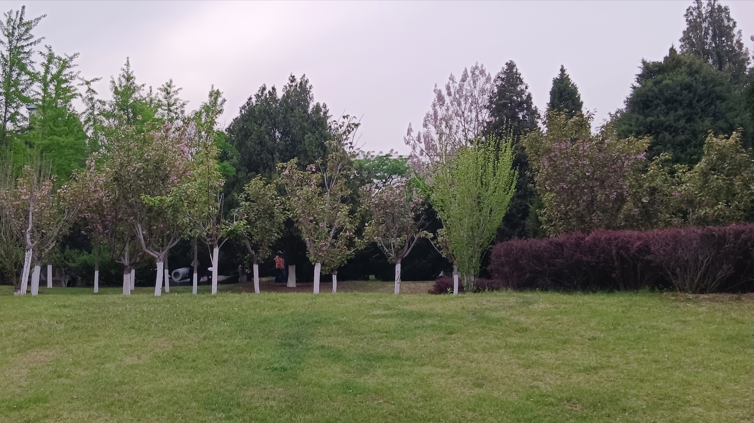 甘井子公园美景