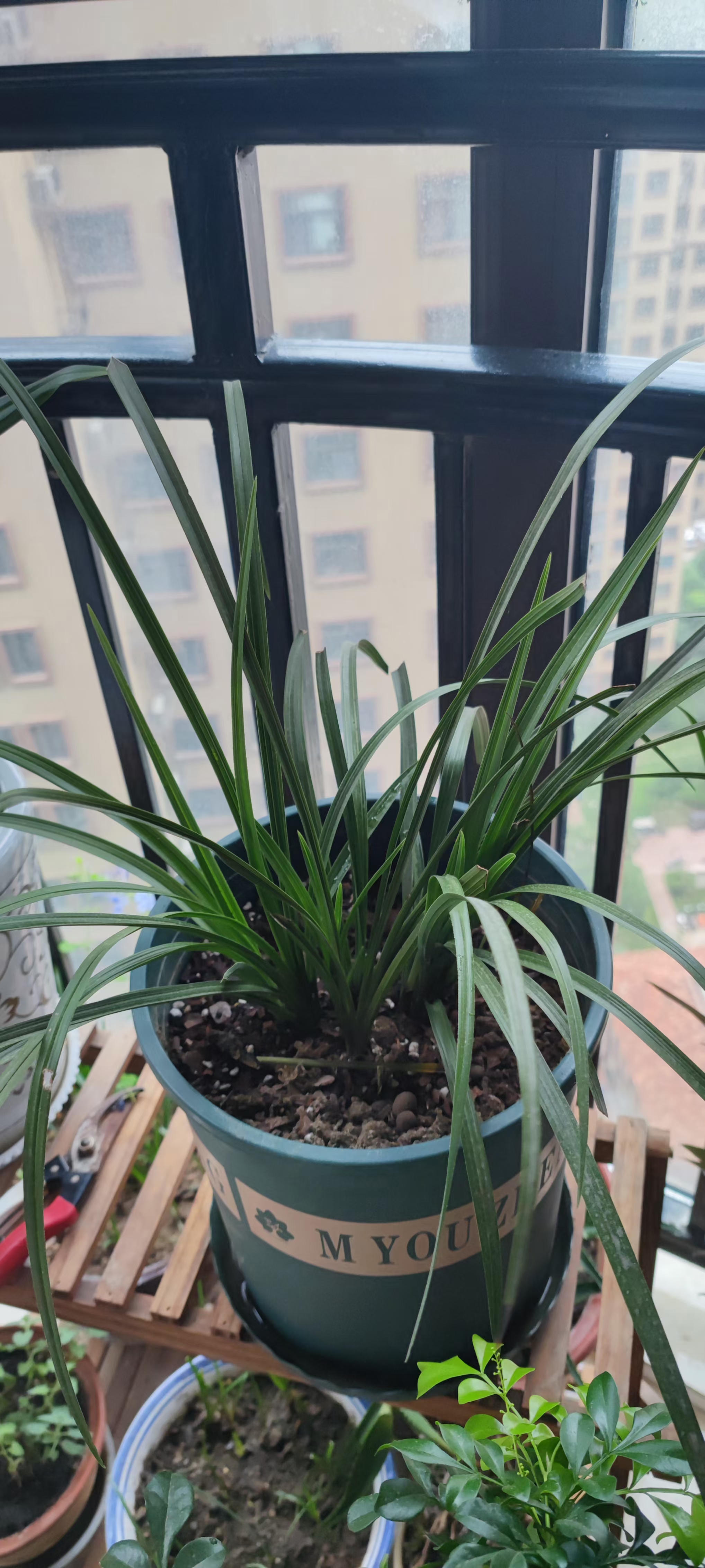 21年八月的朋友圈