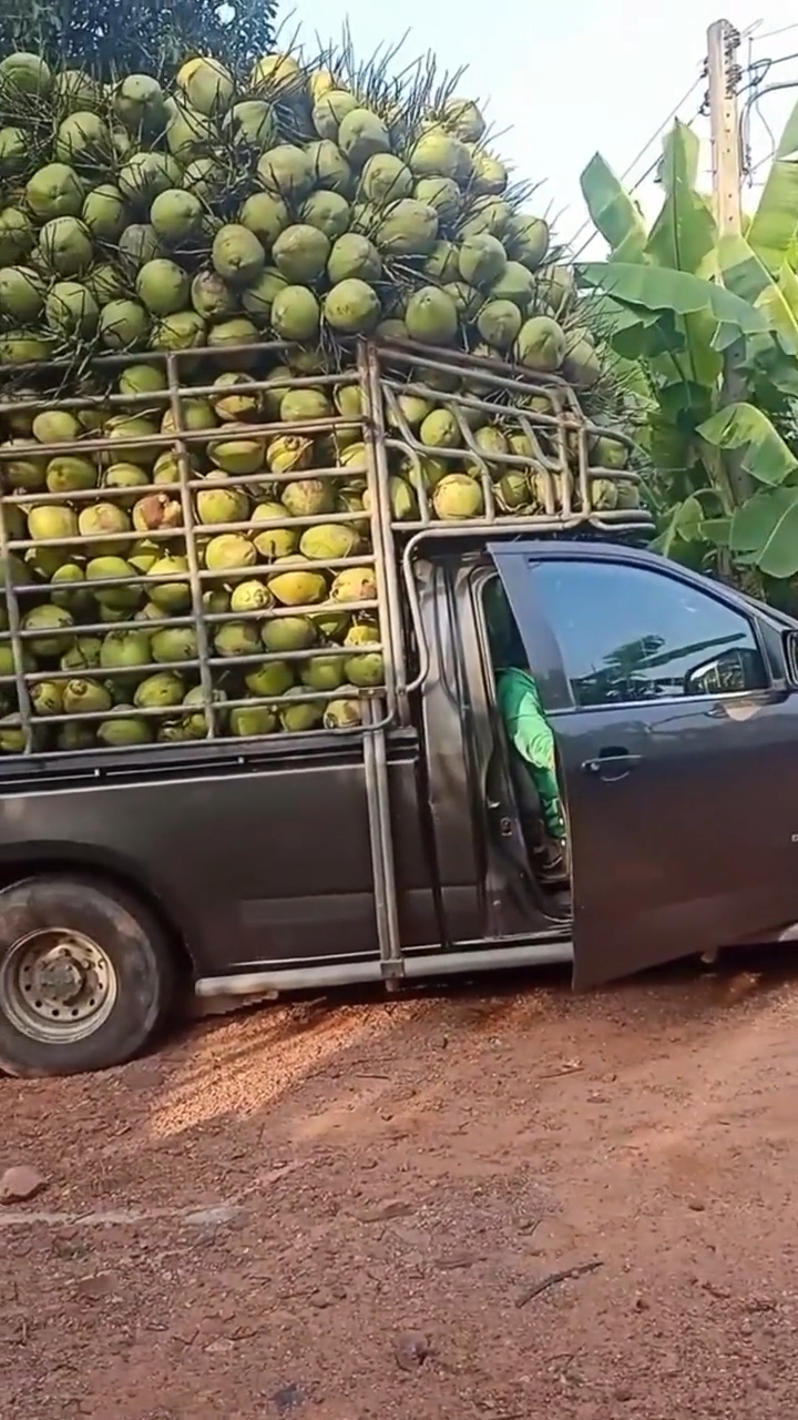 泰国的皮卡车是闲时拉人忙时拉货