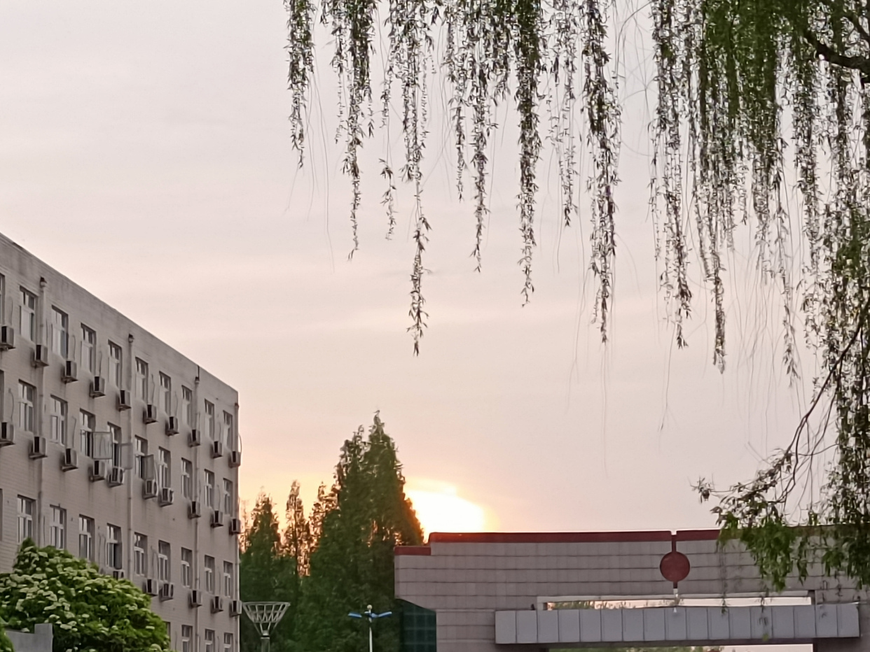 邯郸学院清晨美景