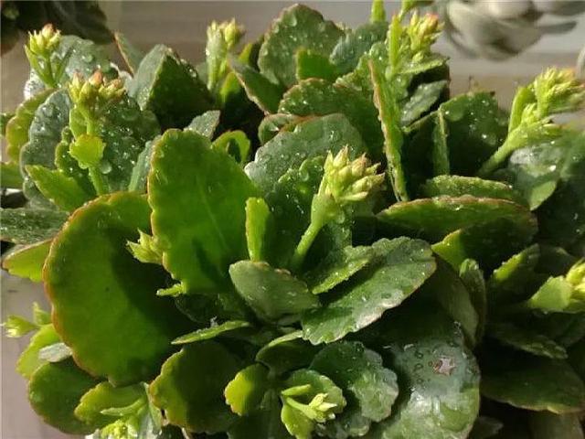 22年2月13日 天天漫画网