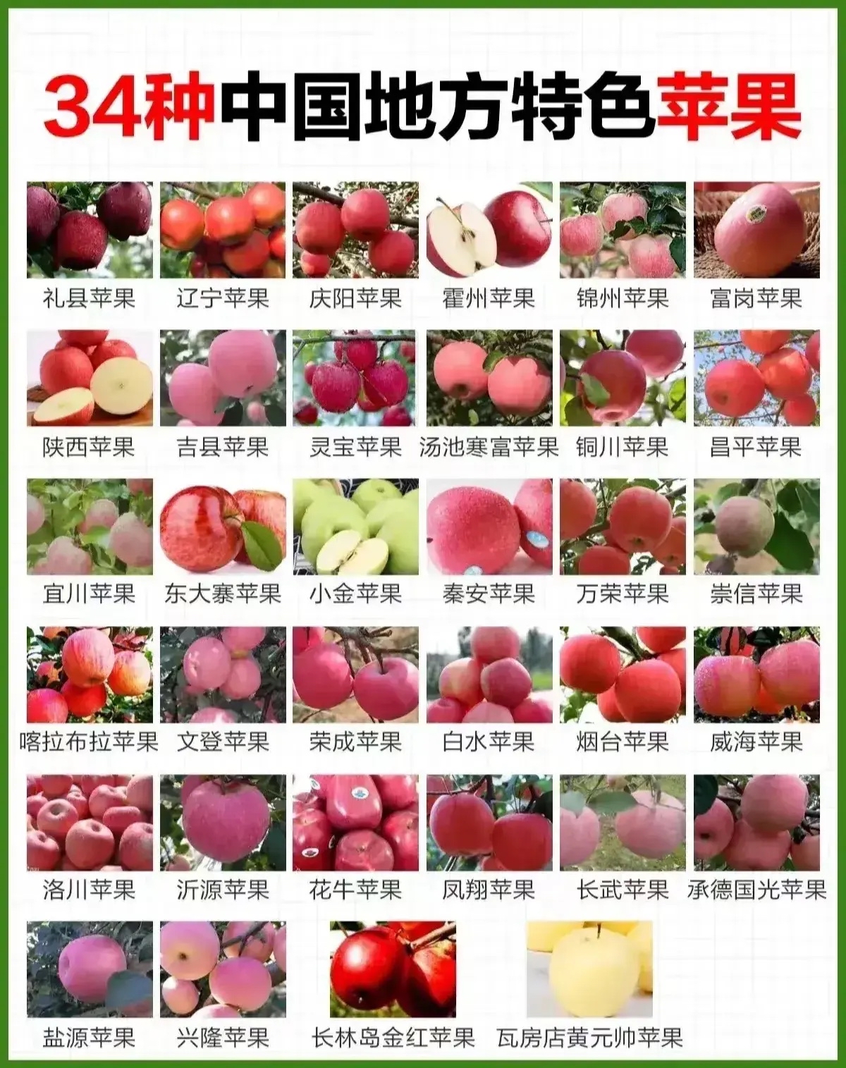 中国最好吃的十大苹果  第10.宁夏中卫苹果 第9.辽宁盖州苹果 第8.